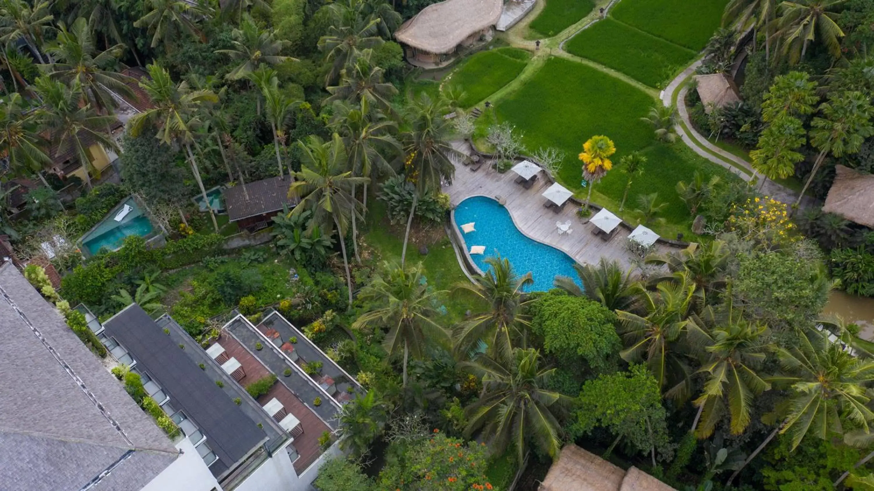 Property building in Plataran Ubud Hotel & Spa - CHSE Certified Property building in Plataran Ubud Hotel & Spa - CHSE Certified