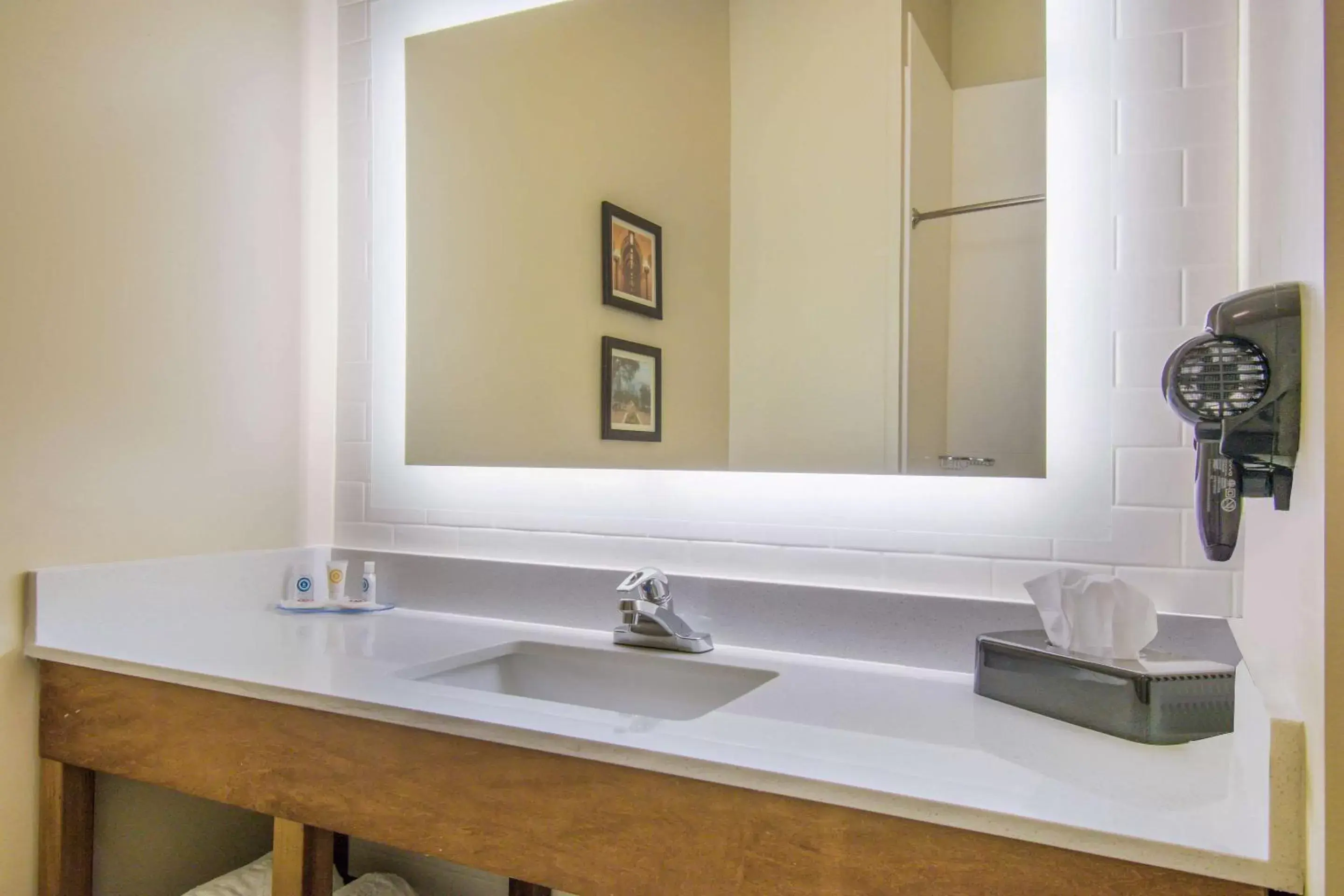 Photo of the whole room, Bathroom in Comfort Inn & Suites Harrisburg - Hershey West