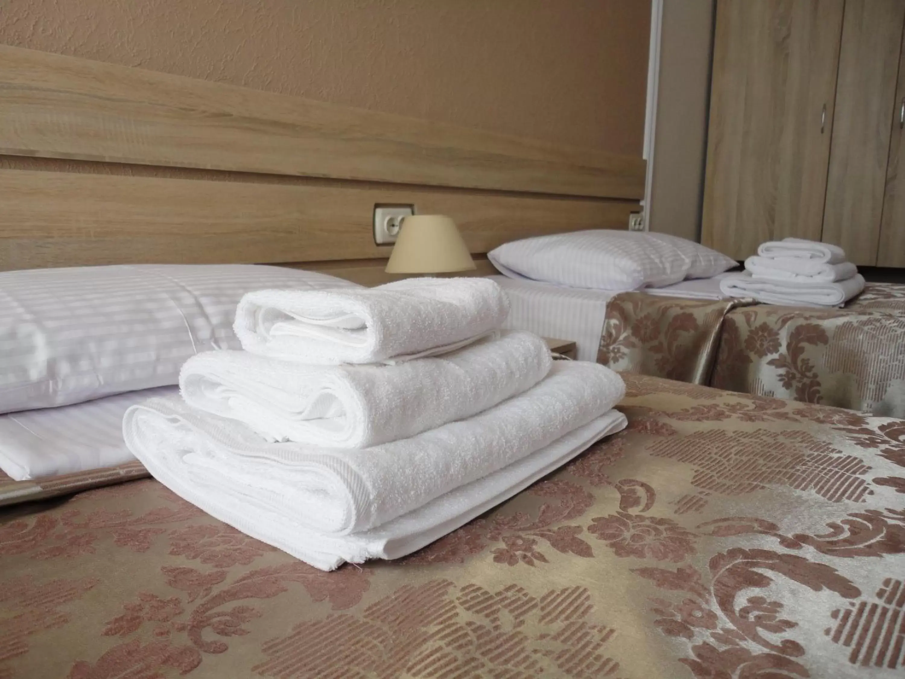 Twin Room - single occupancy in Dibrova Twin Room - single occupancy in Dibrova