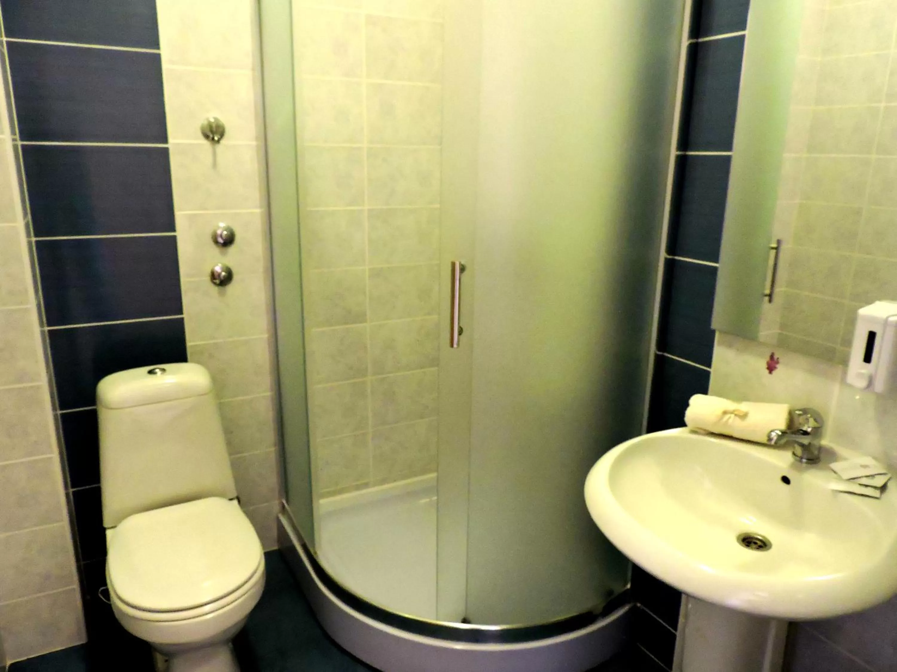 Shower in B&B Zmajevo Gnezdo 021