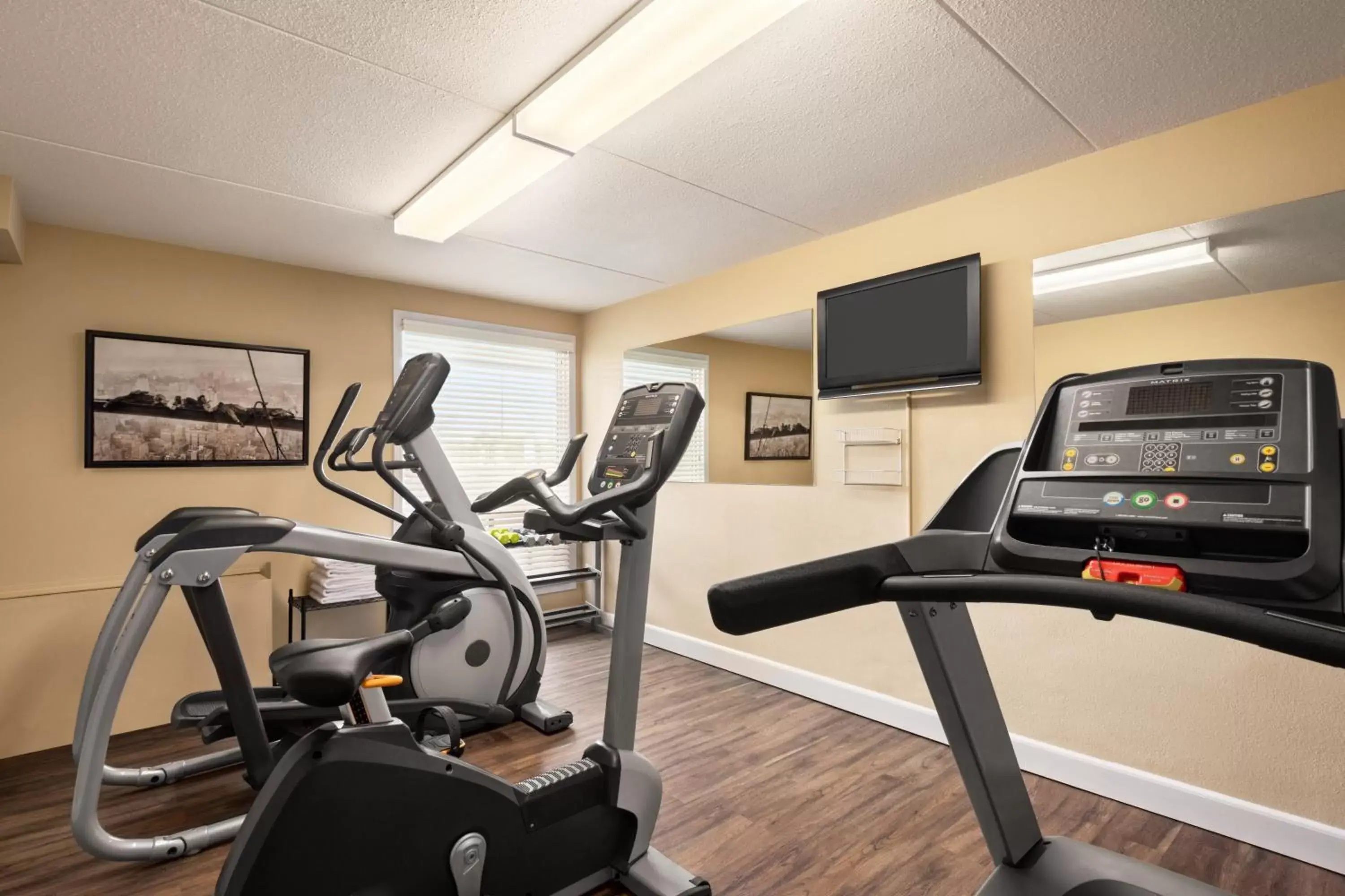 Fitness centre/facilities, Fitness Center/Facilities in Royal Hotel Regina, Trademark Collection by Wyndham