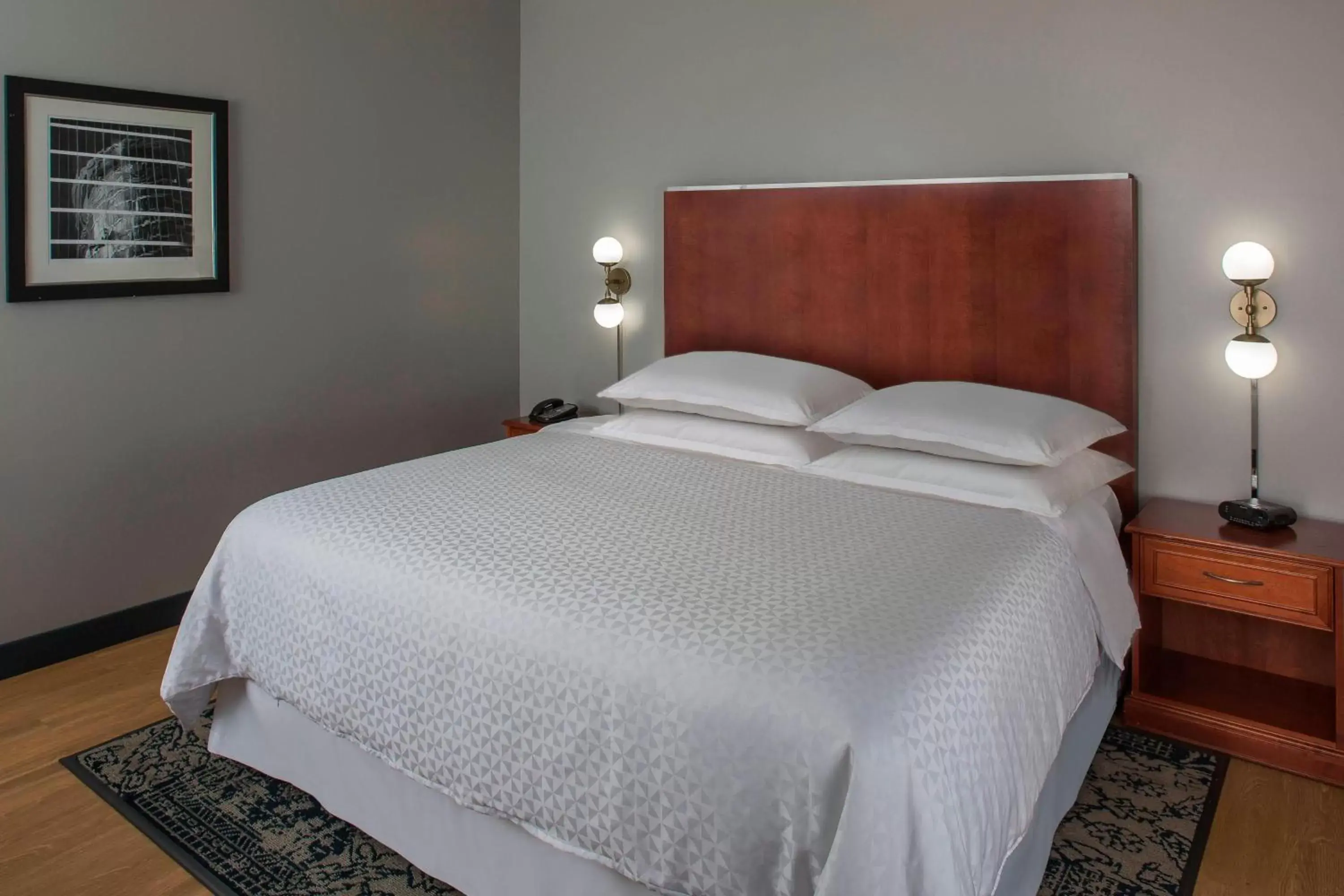 Bedroom, Bed in Four Points by Sheraton Houston Hobby Airport