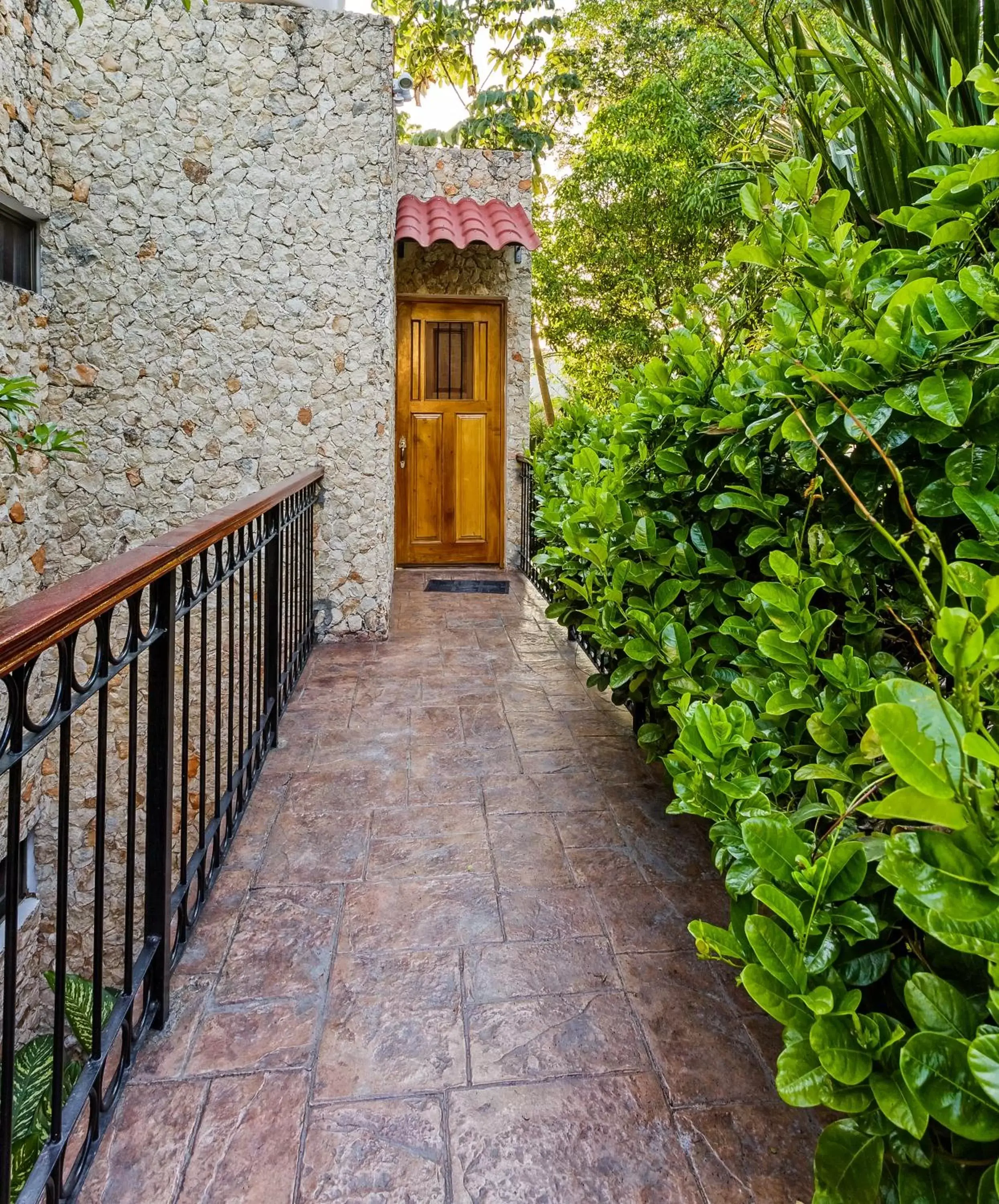 Garden in Casa Del Maya Bed & Breakfast