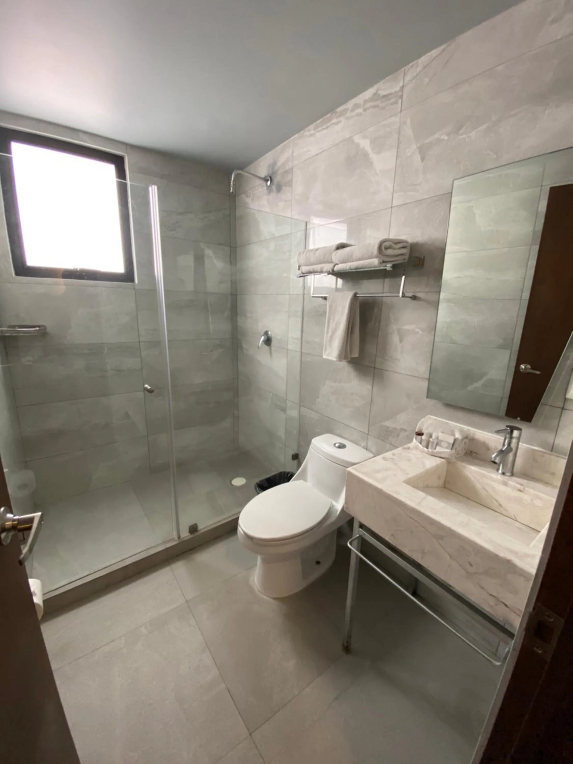 Shower in Suites Lerma 205