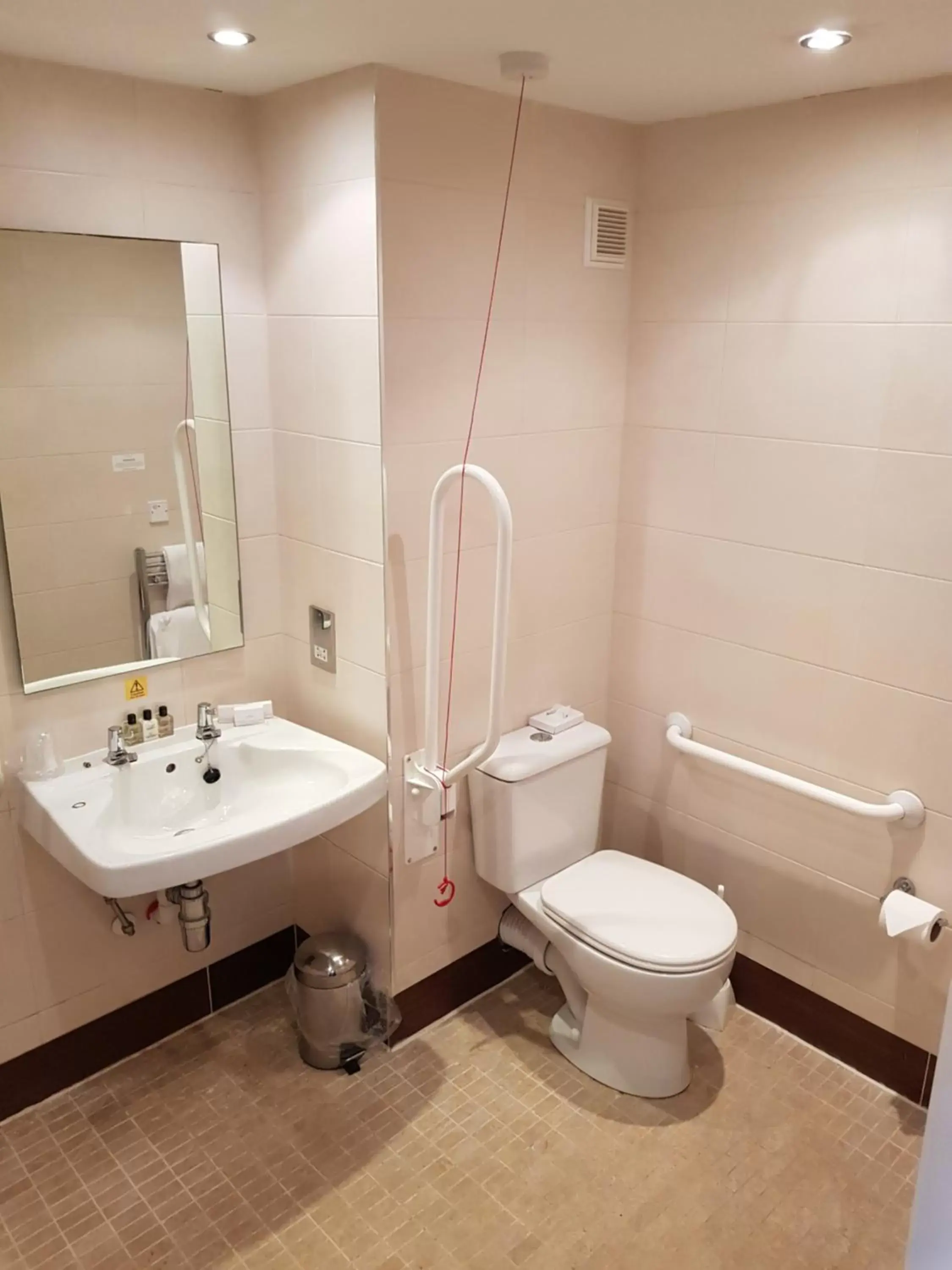 Toilet, Bathroom in Rosslea Hall Hotel
