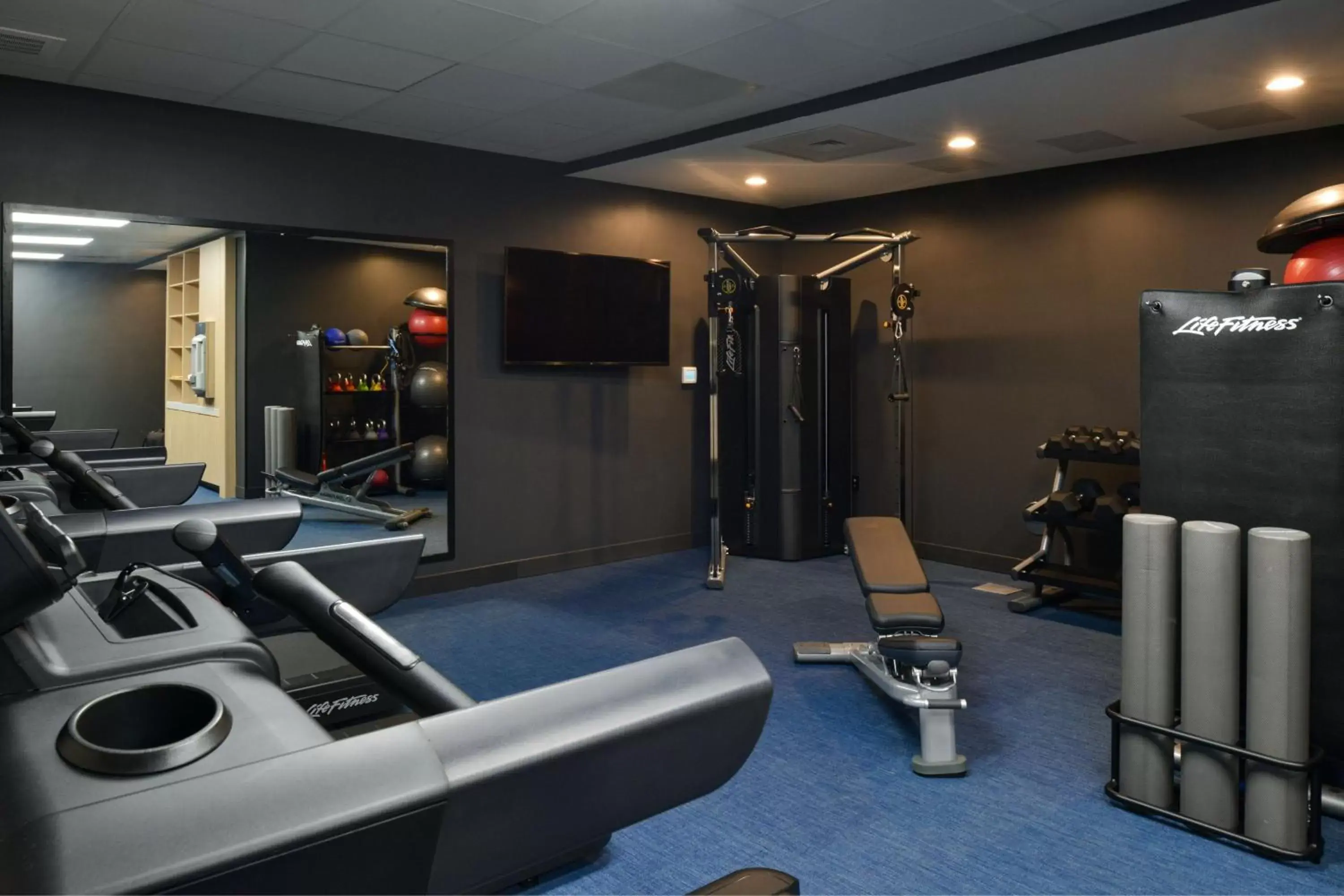 Fitness centre/facilities, Fitness Center/Facilities in TownePlace Suites by Marriott Asheville Downtown