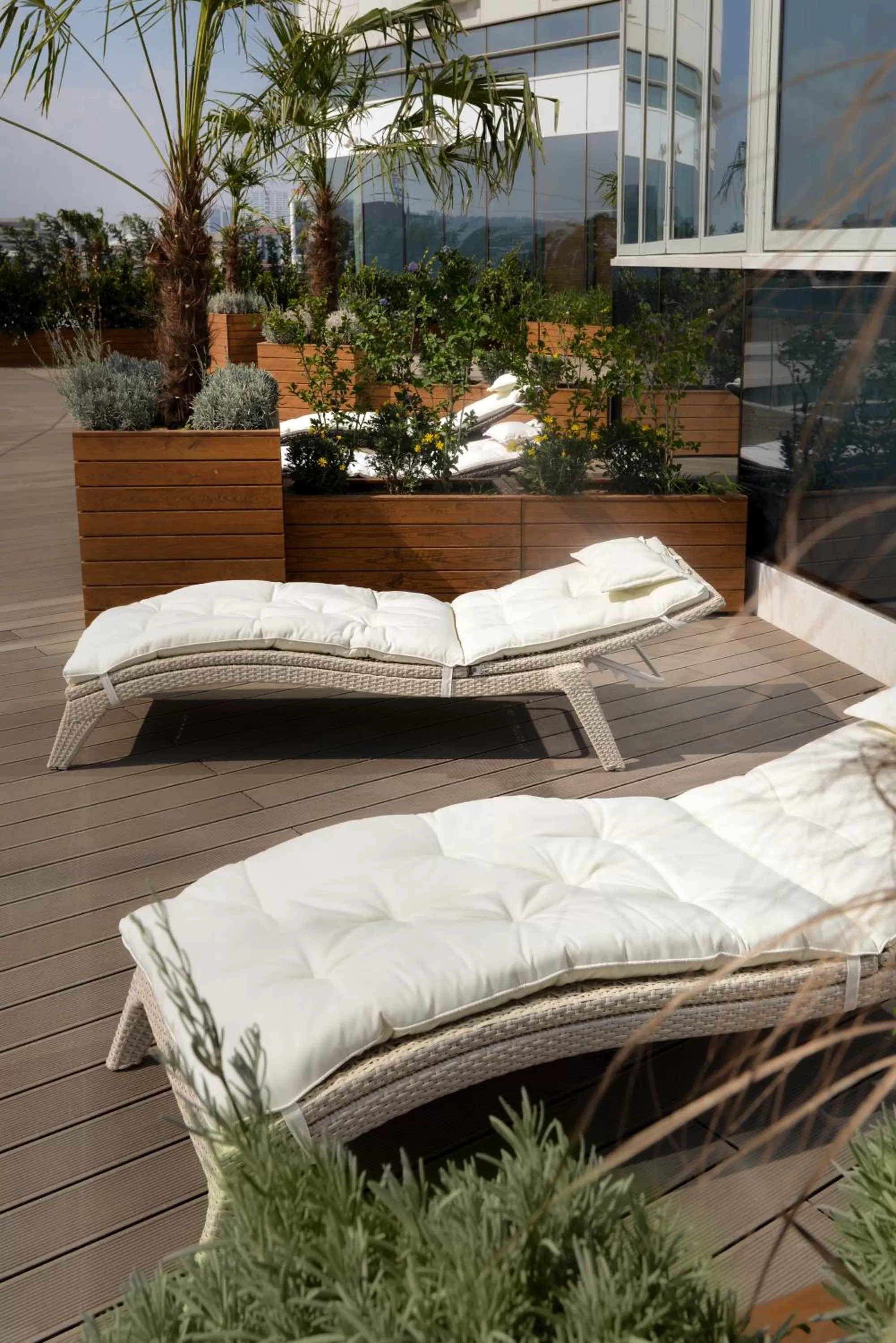 Garden in Wyndham Grand Istanbul Europe