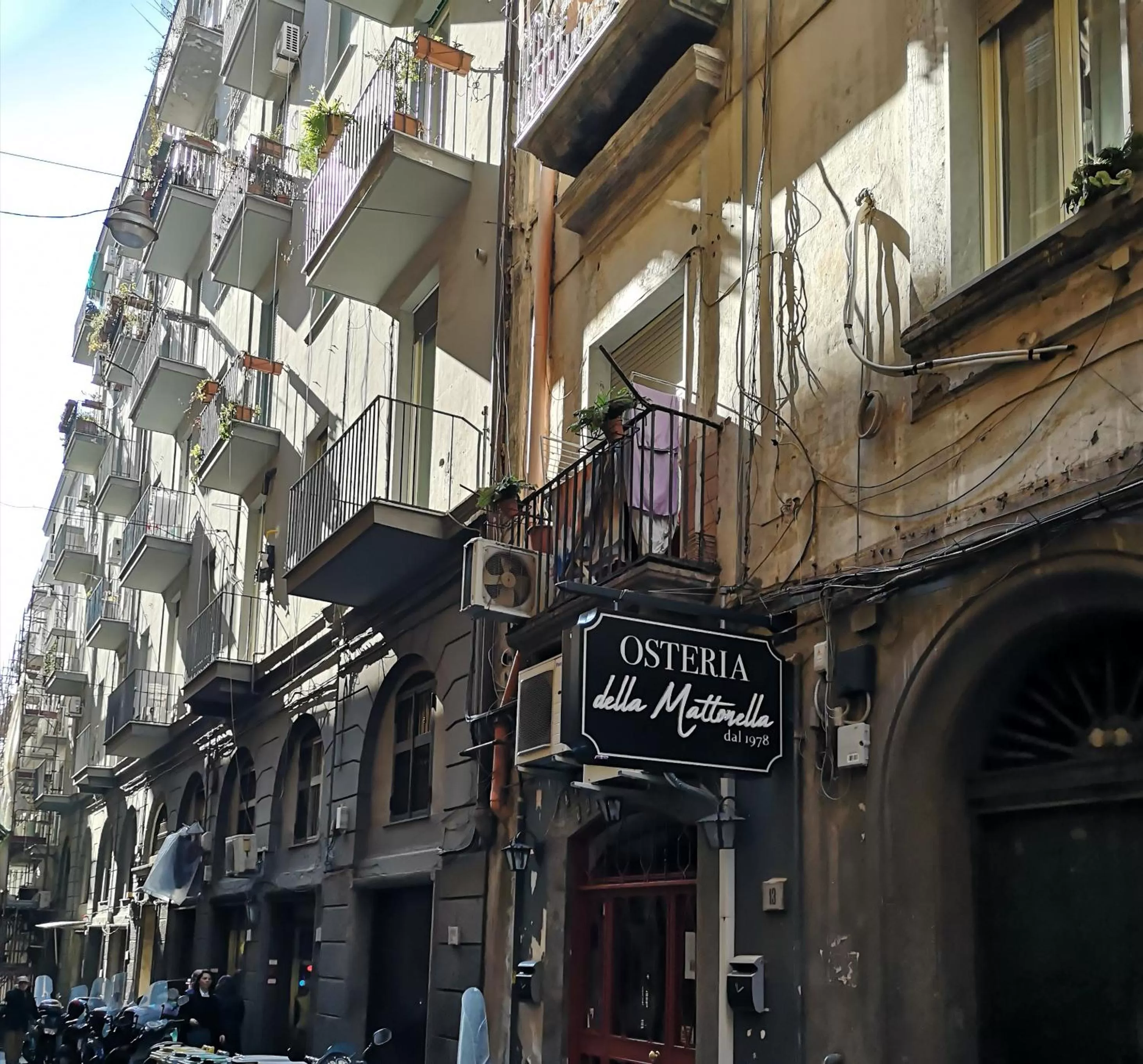 Property Building in Domus Luigi Leone II