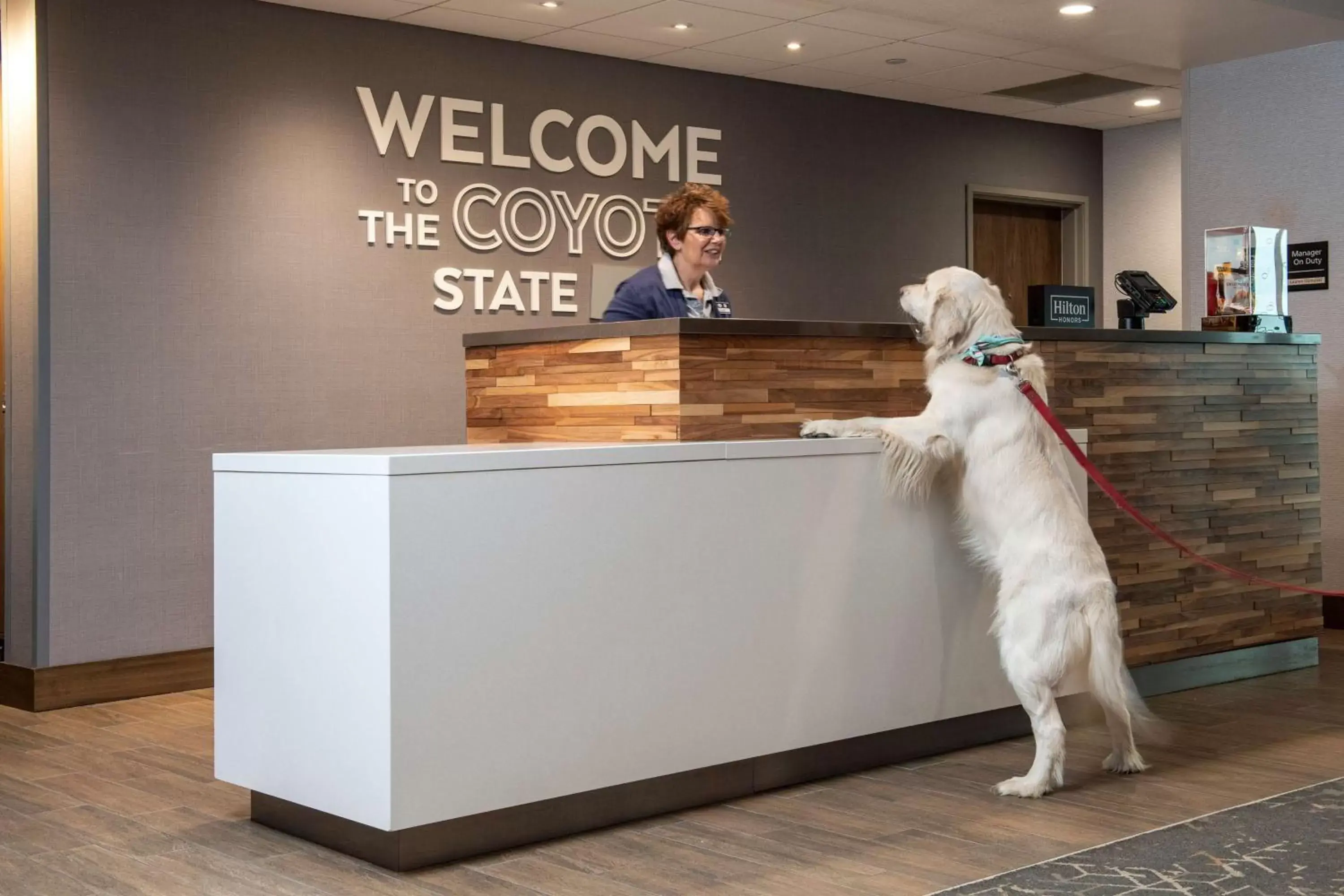 Lobby or reception in Hampton Inn & Suites Rapid City Rushmore, SD