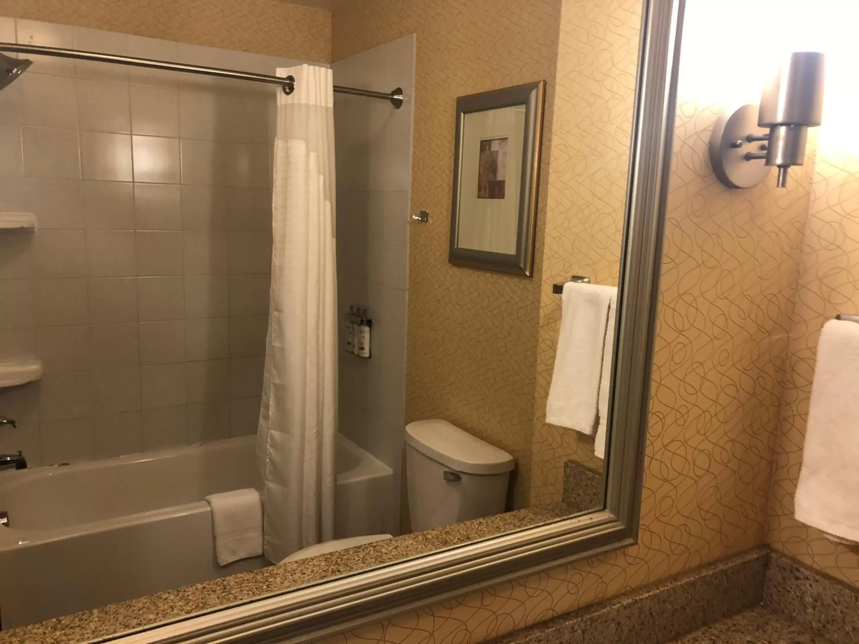 Shower, Bathroom in Holiday Inn Express Hotel & Suites Lansing-Dimondale, an IHG Hotel