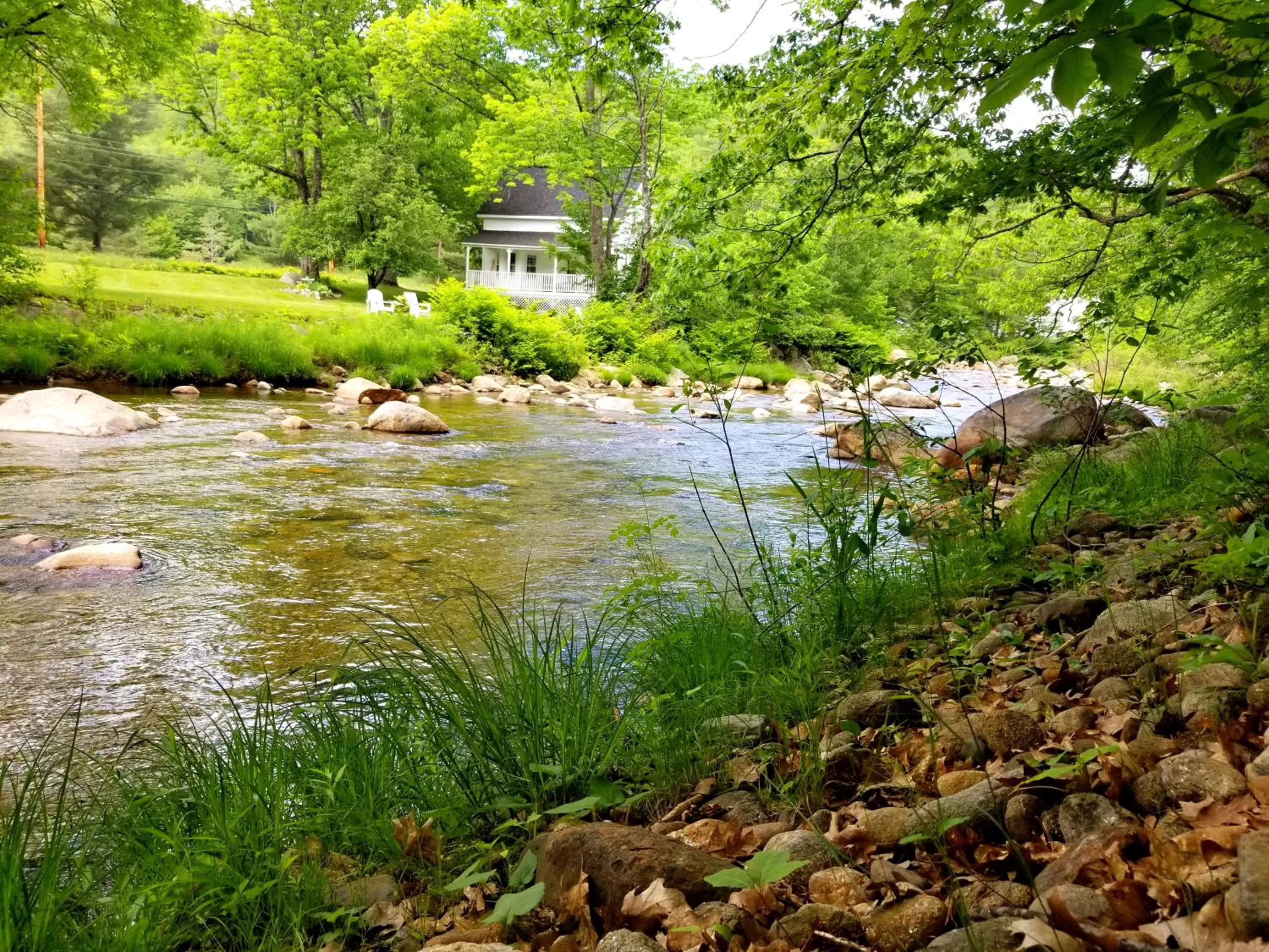 River view in The Lodge at Jackson Village