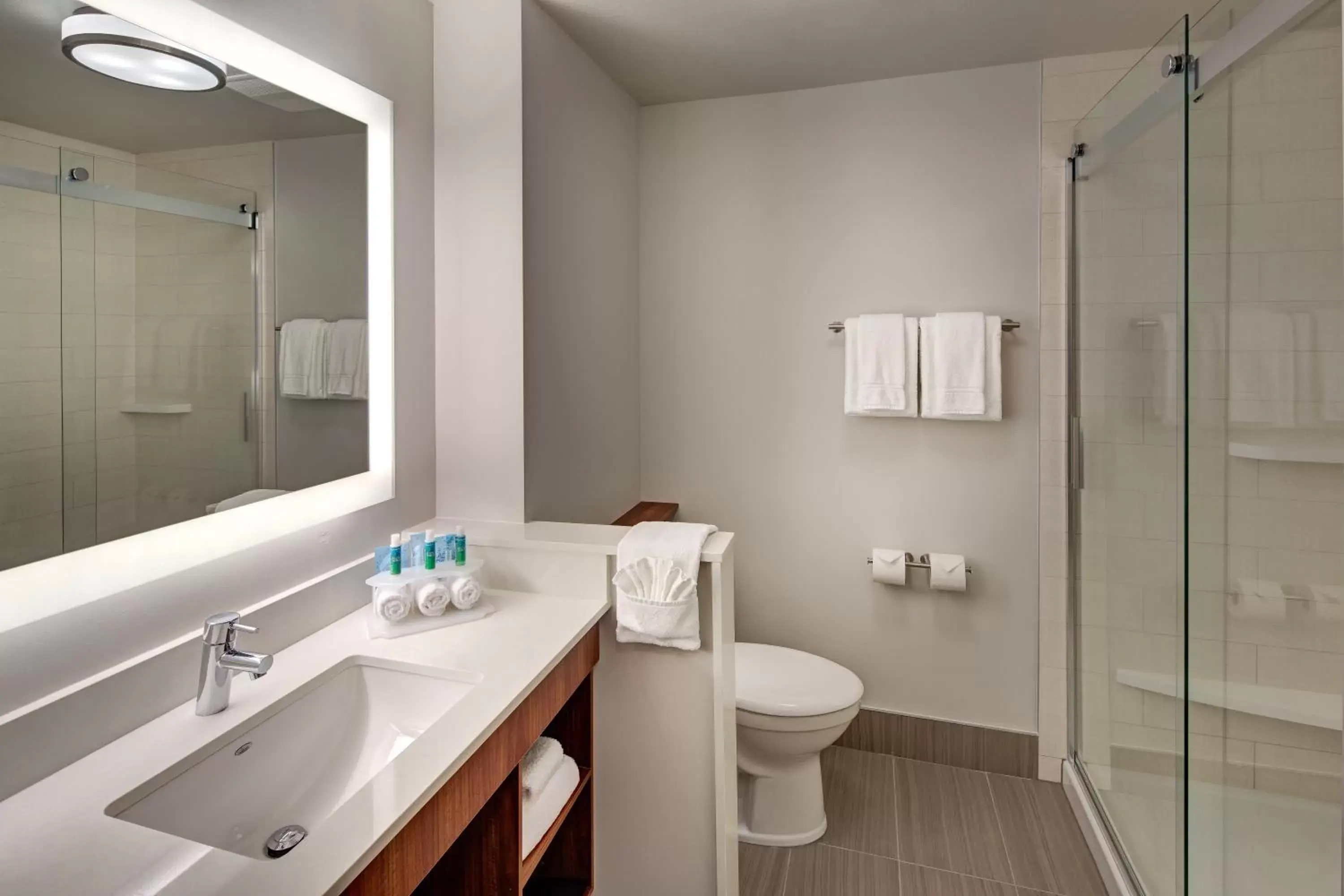 Bathroom in Holiday Inn Express & Suites Terrace, an IHG Hotel