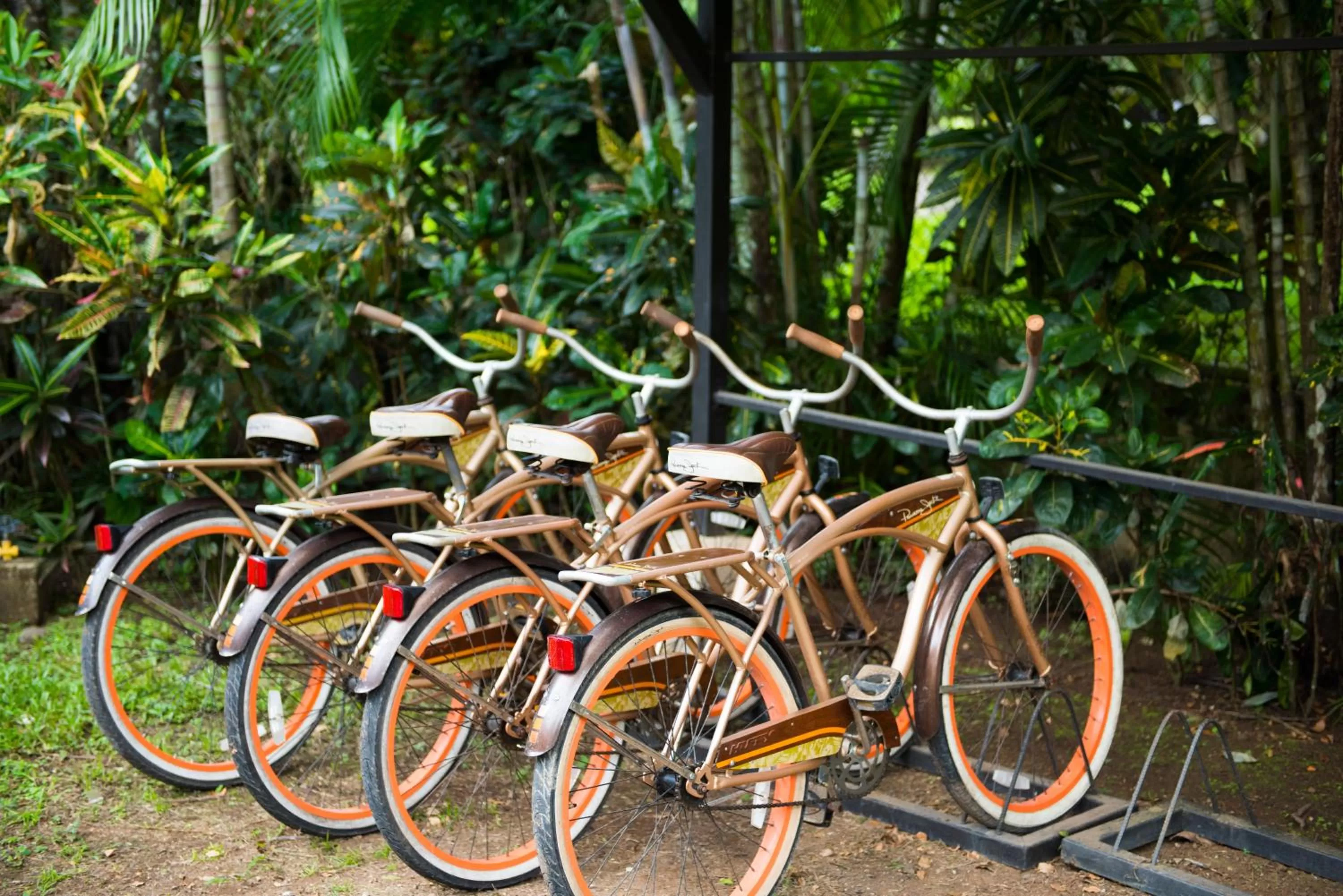 Cycling in Pumilio Mountain & Ocean Hotel