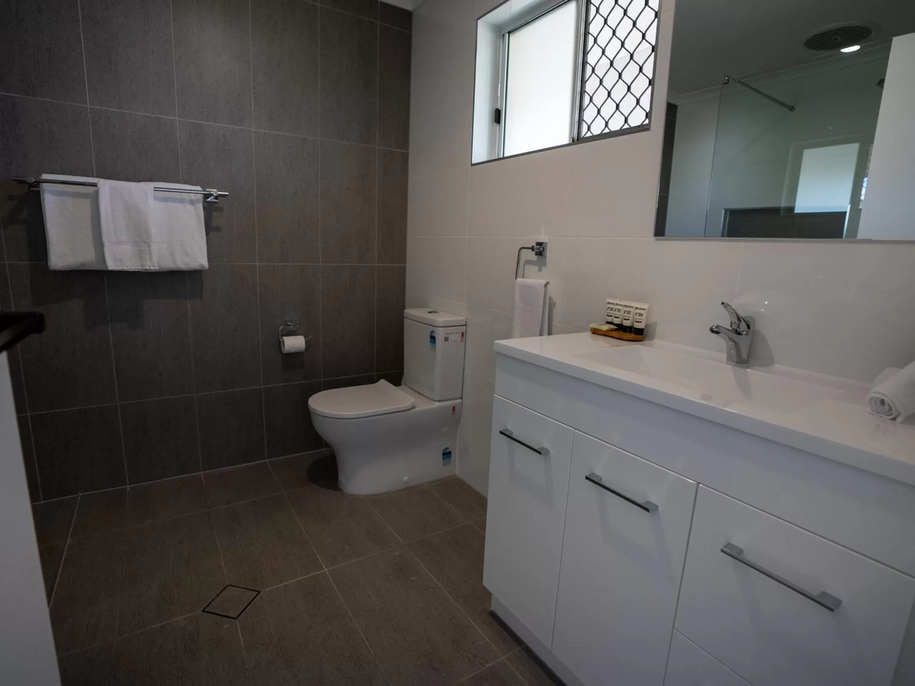 Toilet, Bathroom in Best Western Ambassador Motor Lodge