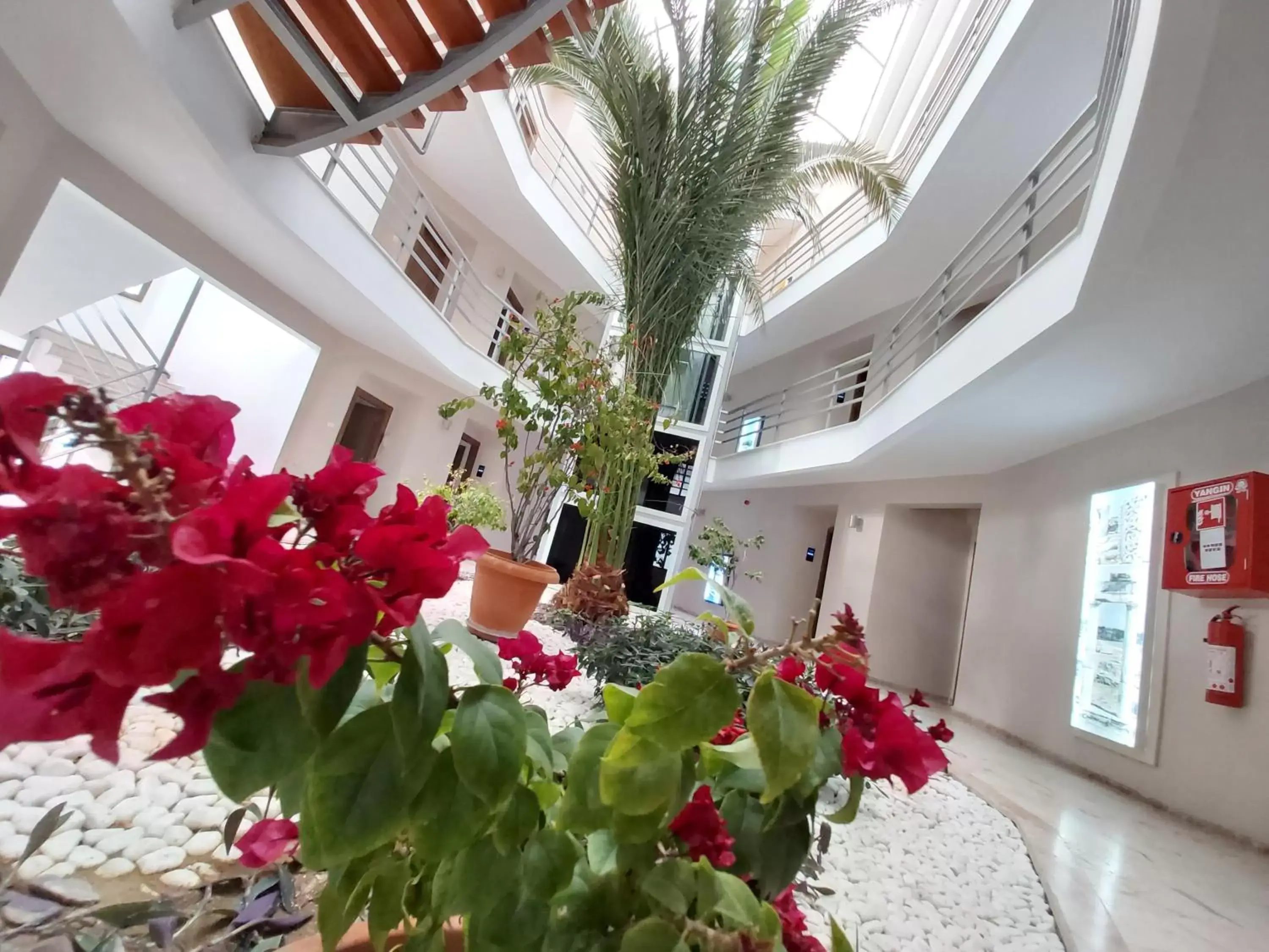 Property building in Pam Thermal Hotel Clinic & Spa Property building in Pam Thermal Hotel Clinic & Spa