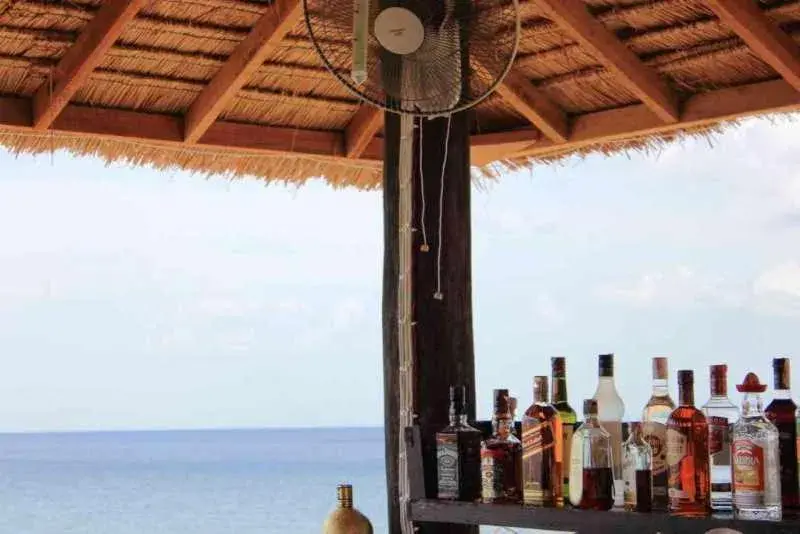 Lounge or bar in Peace Paradise Beach