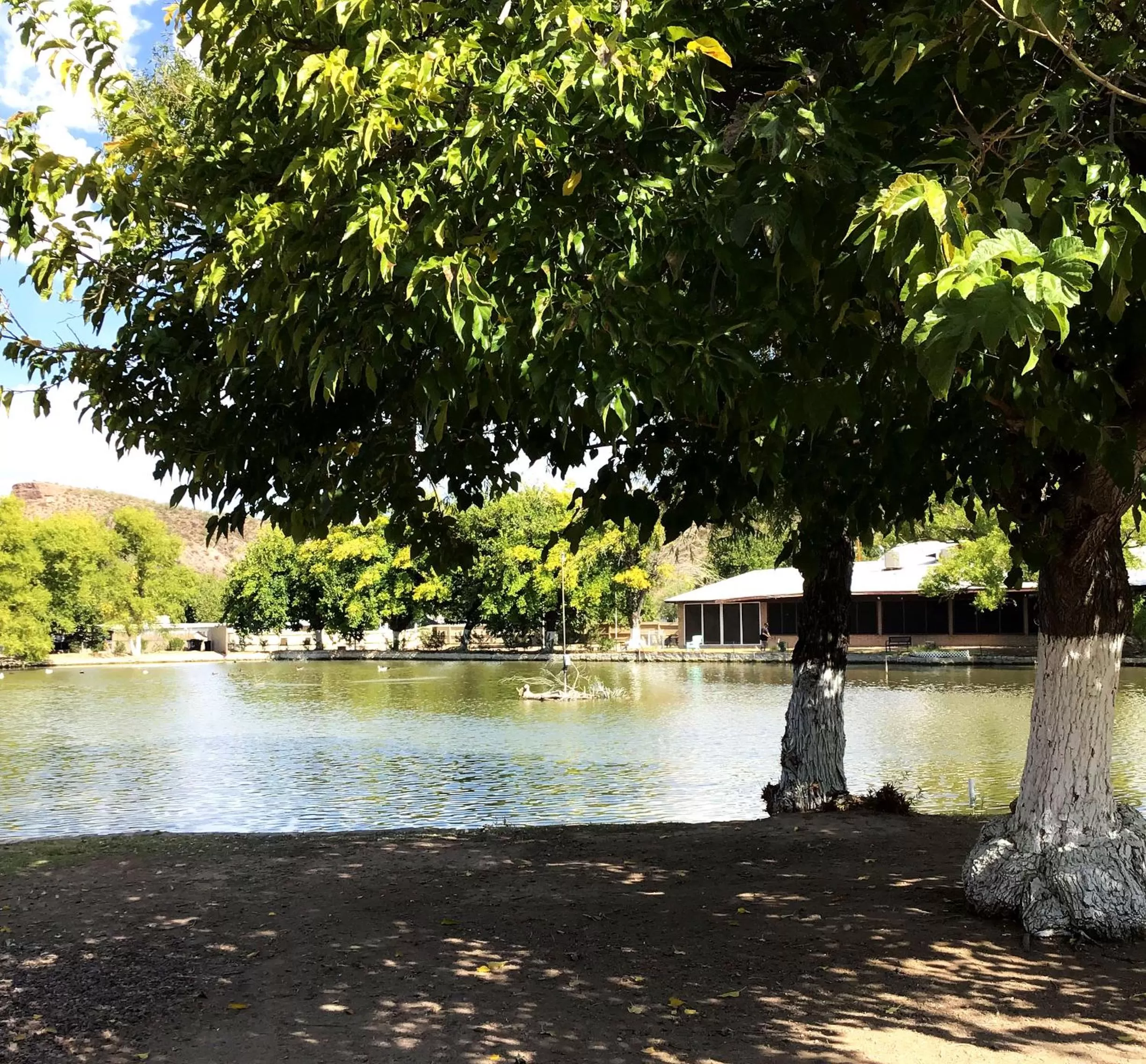 View (from property/room) in Roosevelt Resort Park
