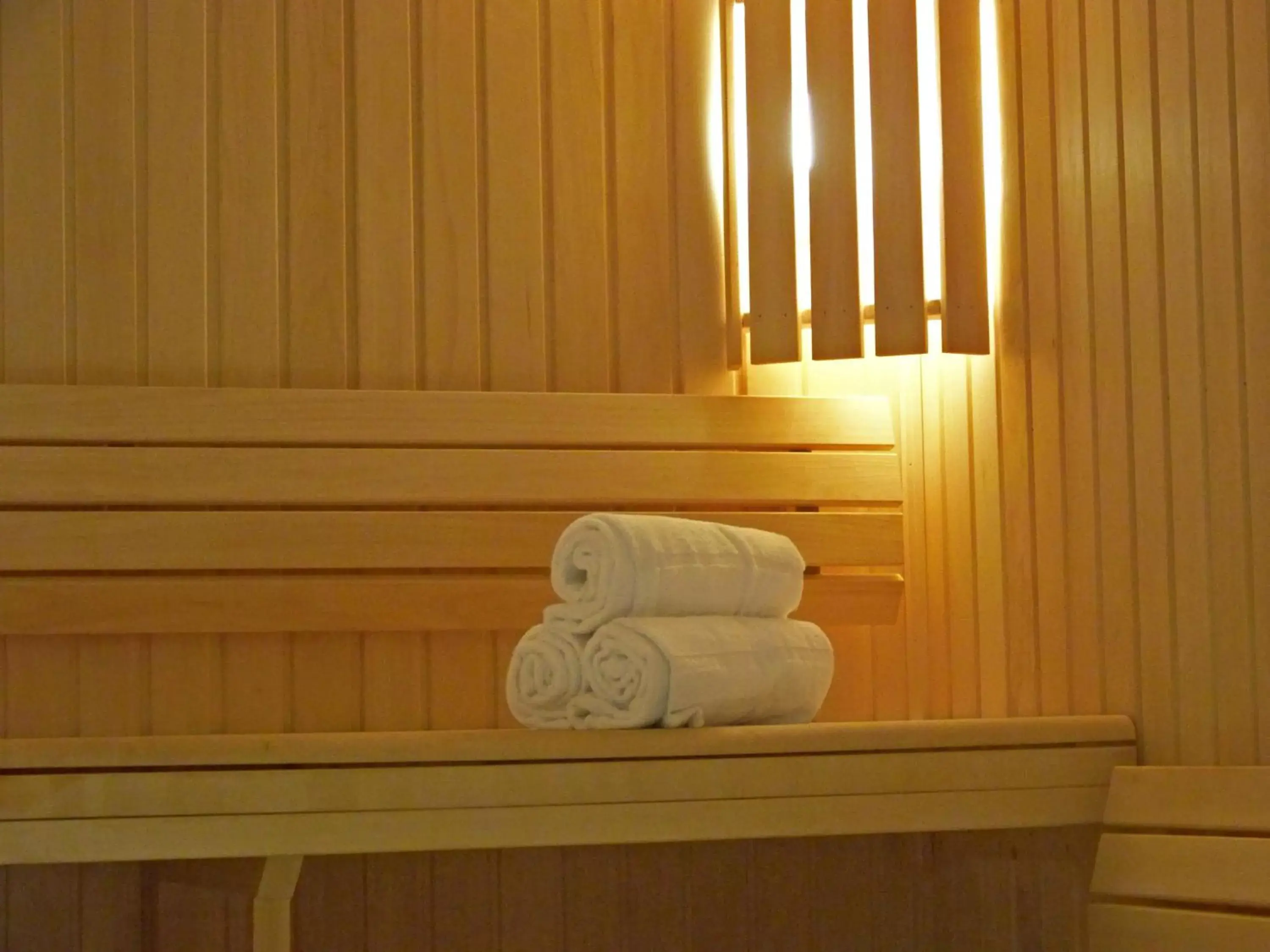 Sauna in Hotel Inn Paris CDG Airport - ex Best Western