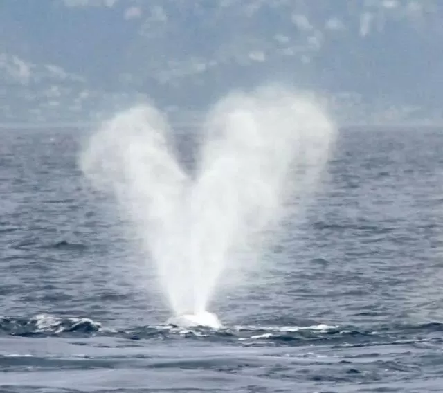 Sea view in Wharf Master's Inn