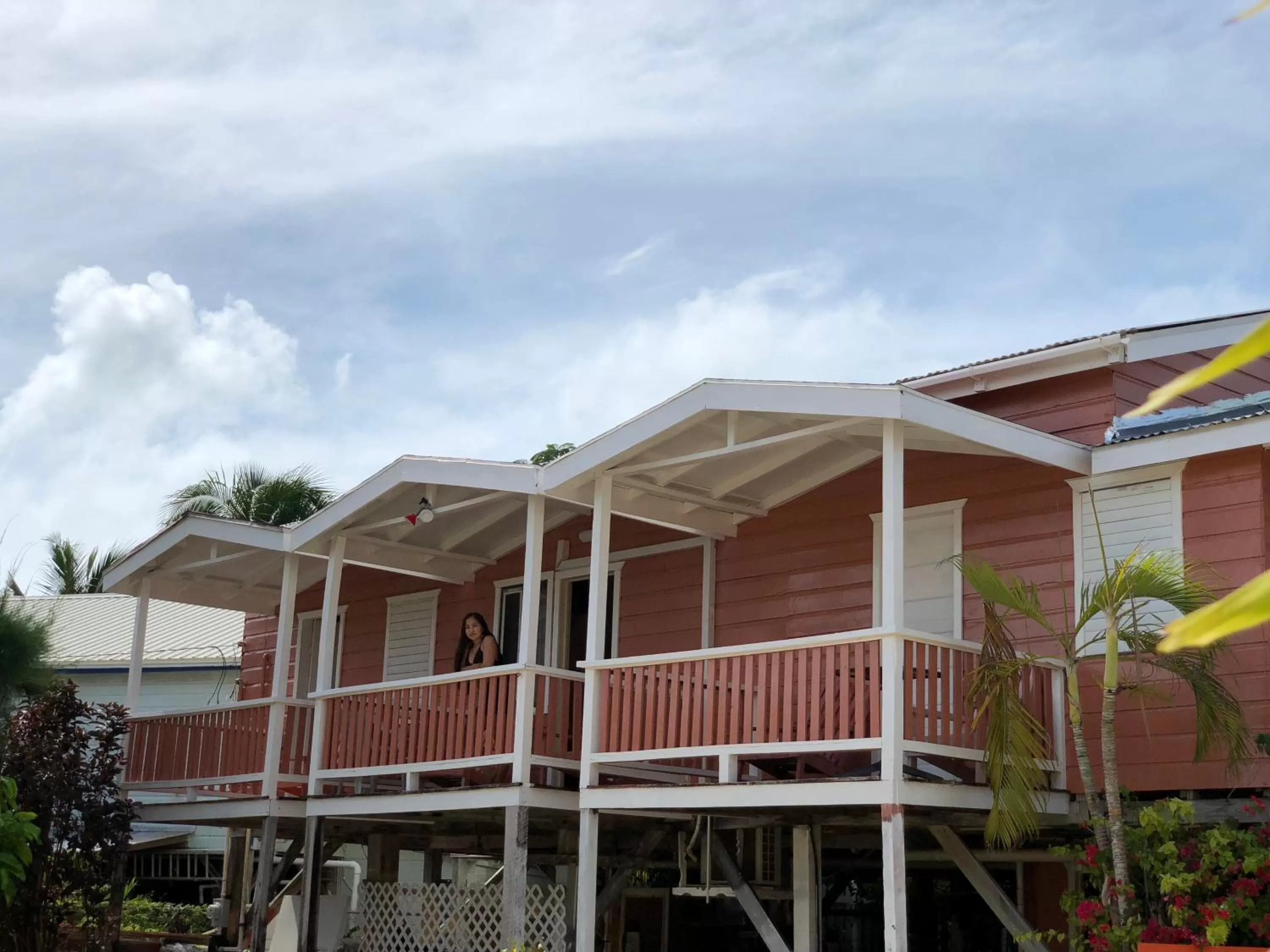 Property building in Tropical Paradise Express