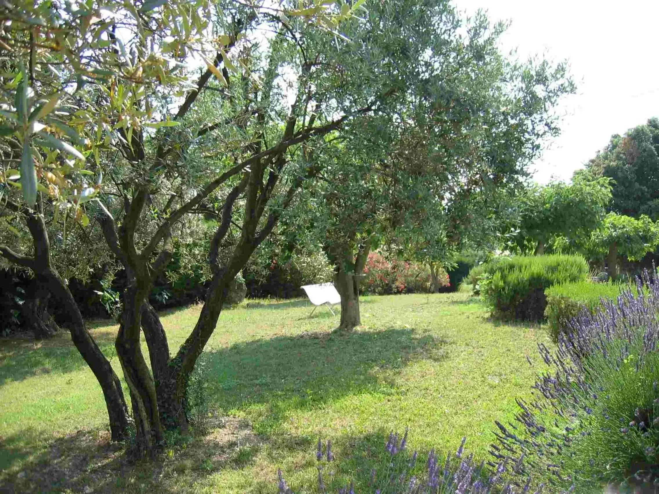 Garden in La Vieille Bastide