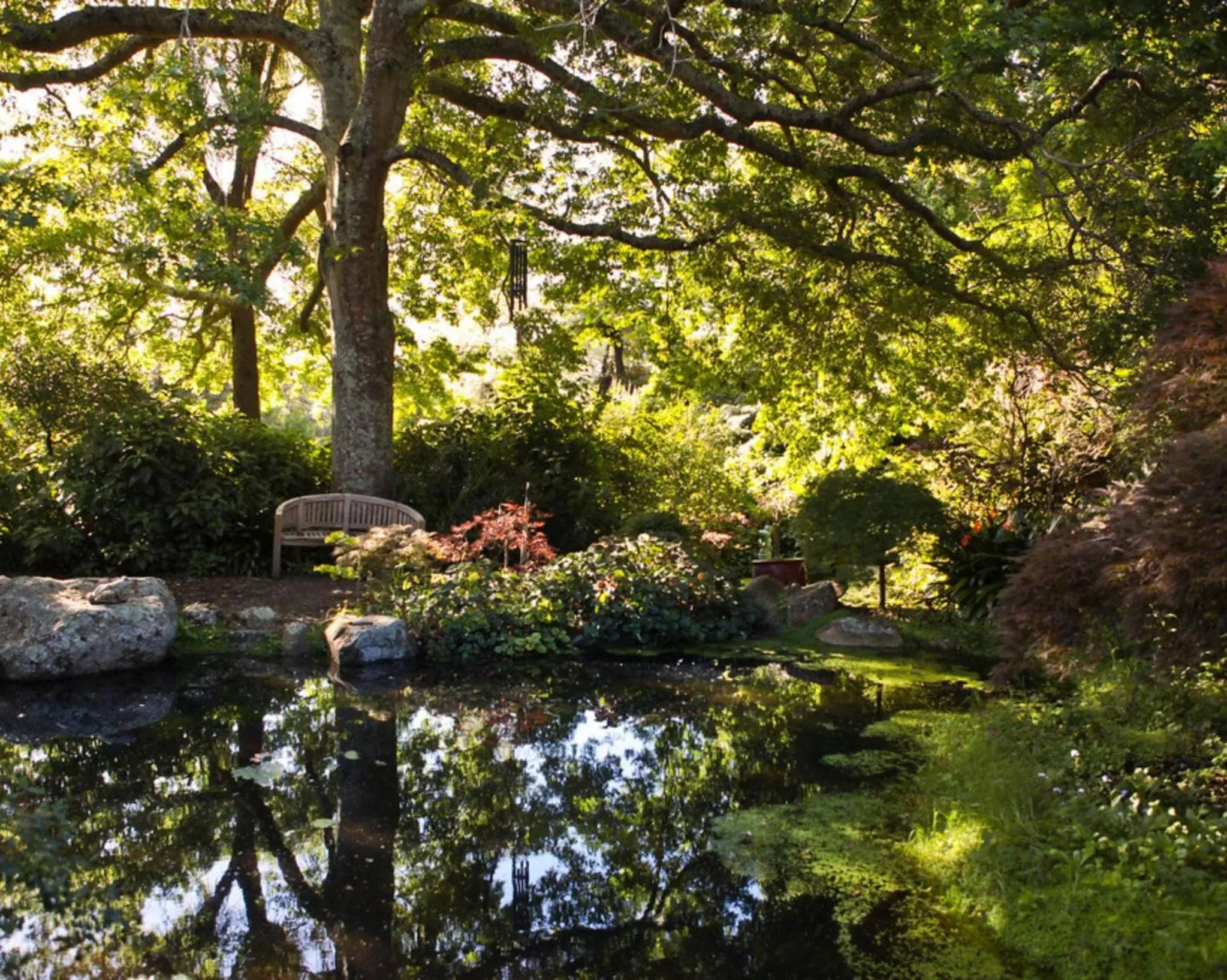 Garden view, Garden in Greenmantle Estate Hotel