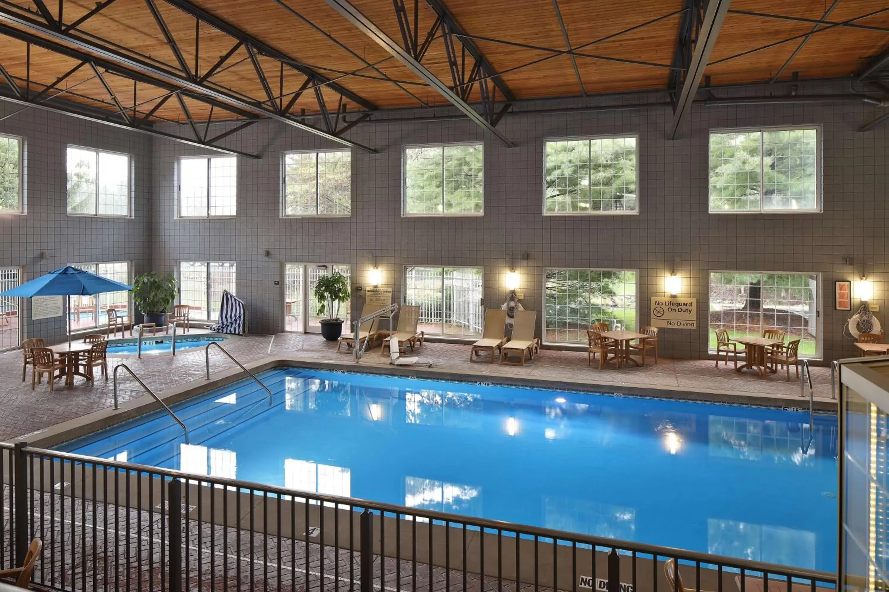 Pool view, Swimming Pool in Hampton Inn Holland