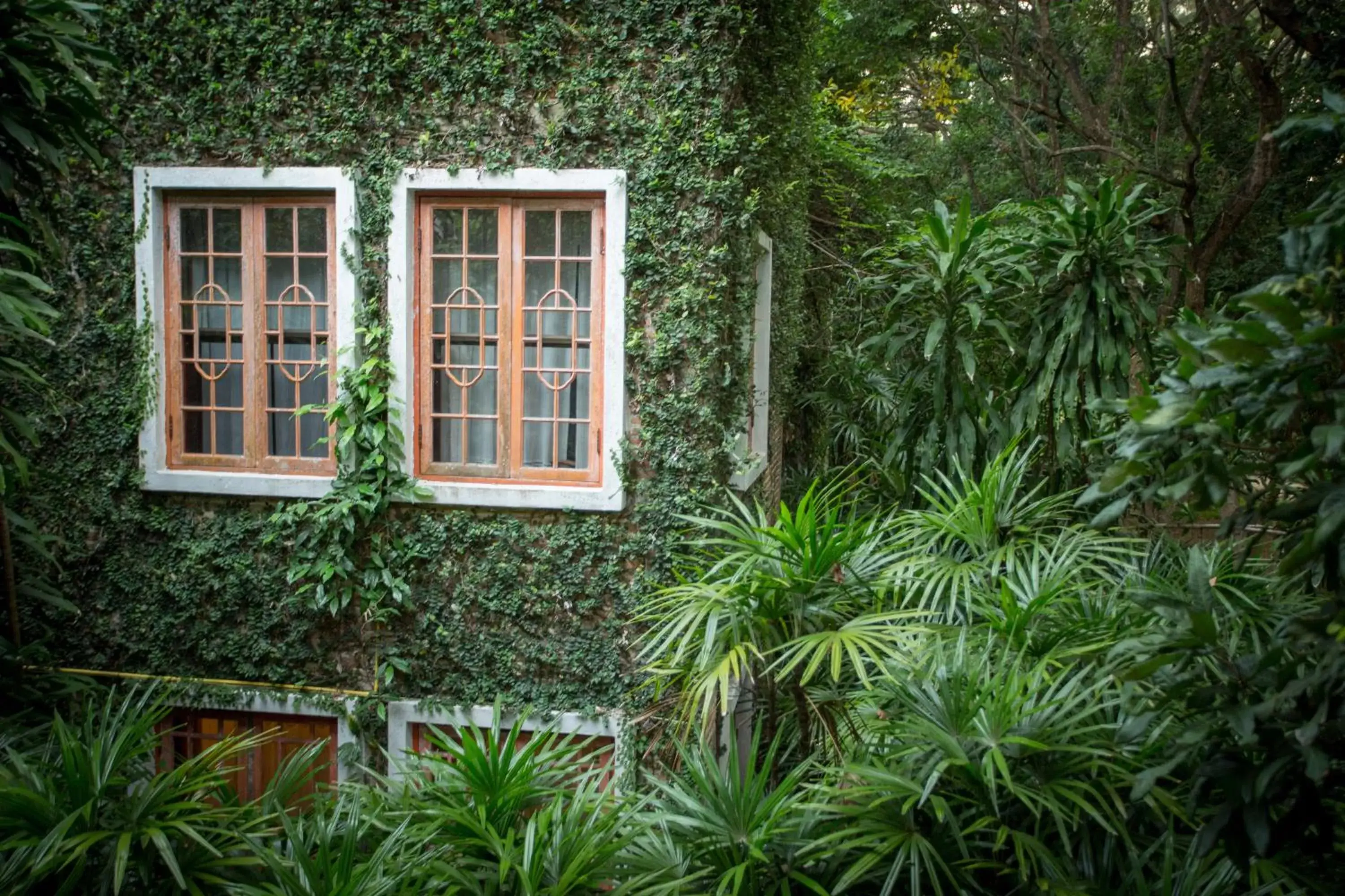 Garden in Kaomai Lanna Resort