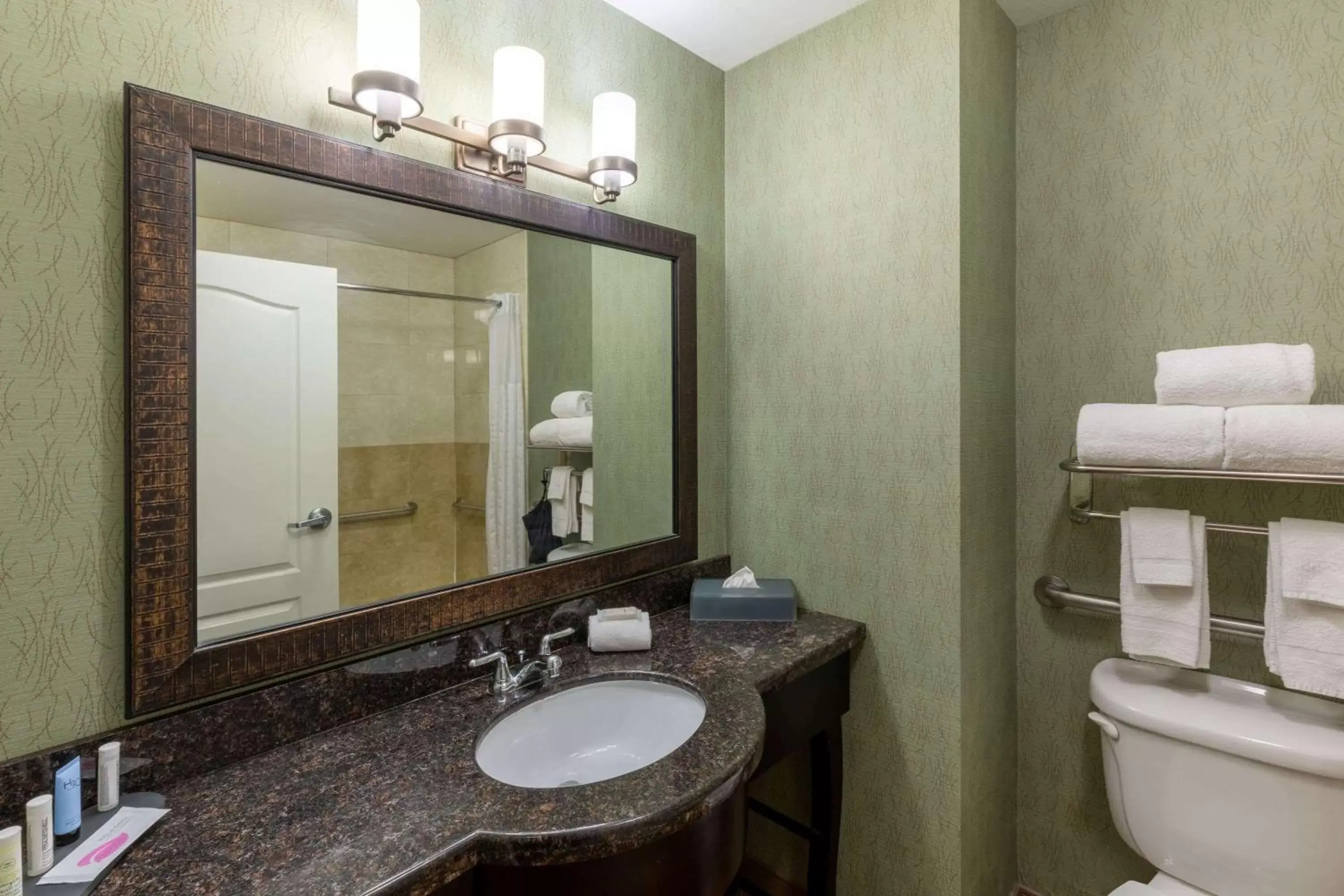 Bathroom in La Quinta by Wyndham Fort Worth - Lake Worth