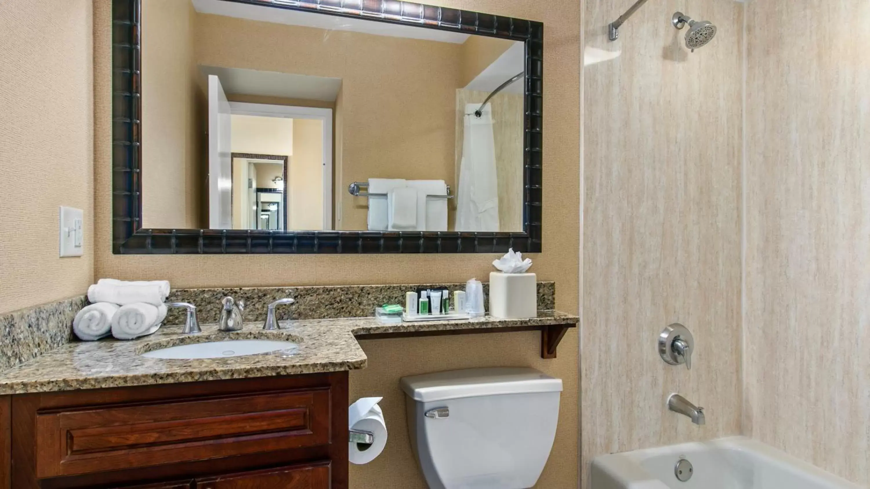 Bathroom in Holiday Inn & Suites Clearwater Beach, an IHG Hotel