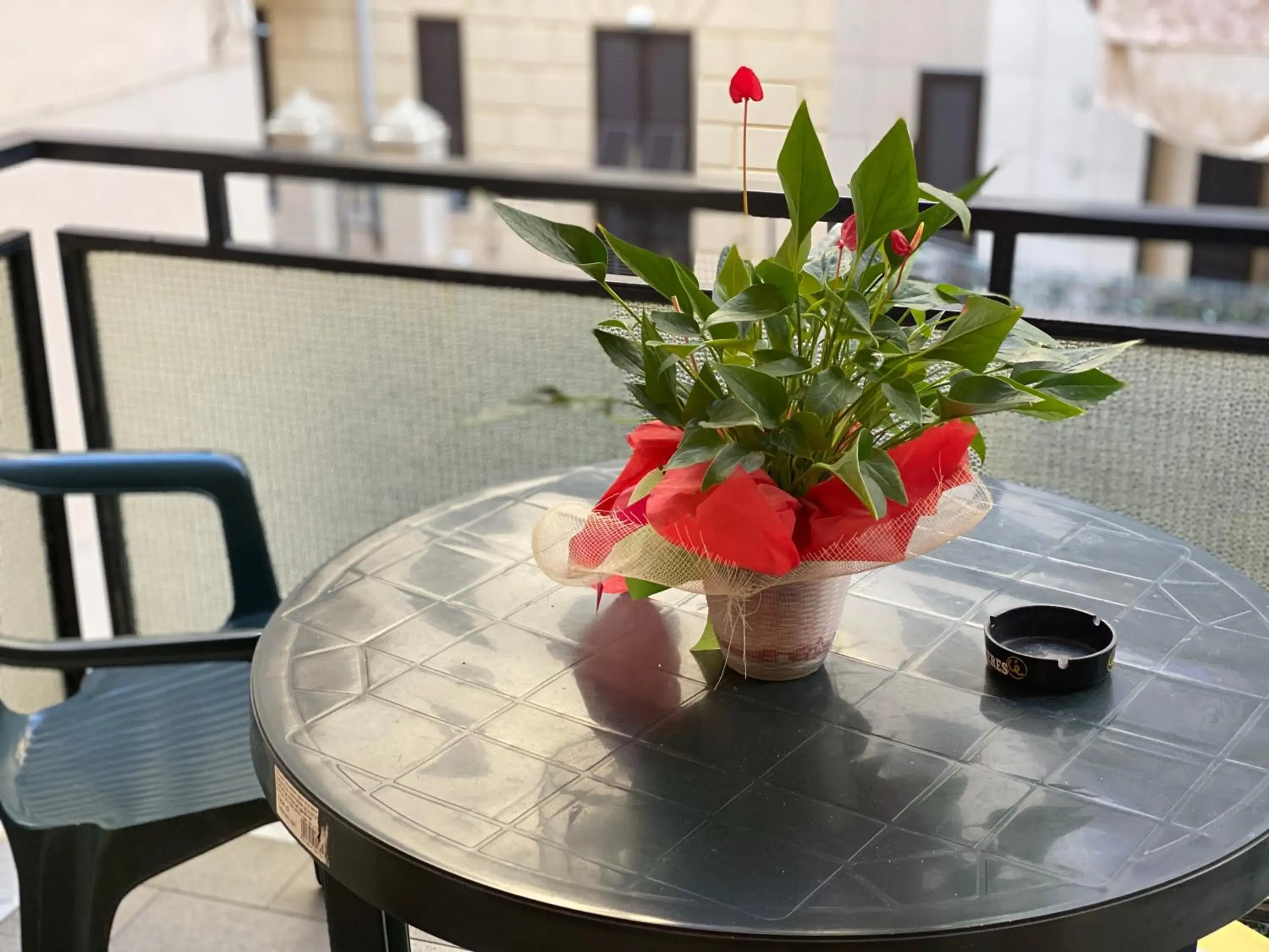 Balcony/Terrace in Hotel San Marco