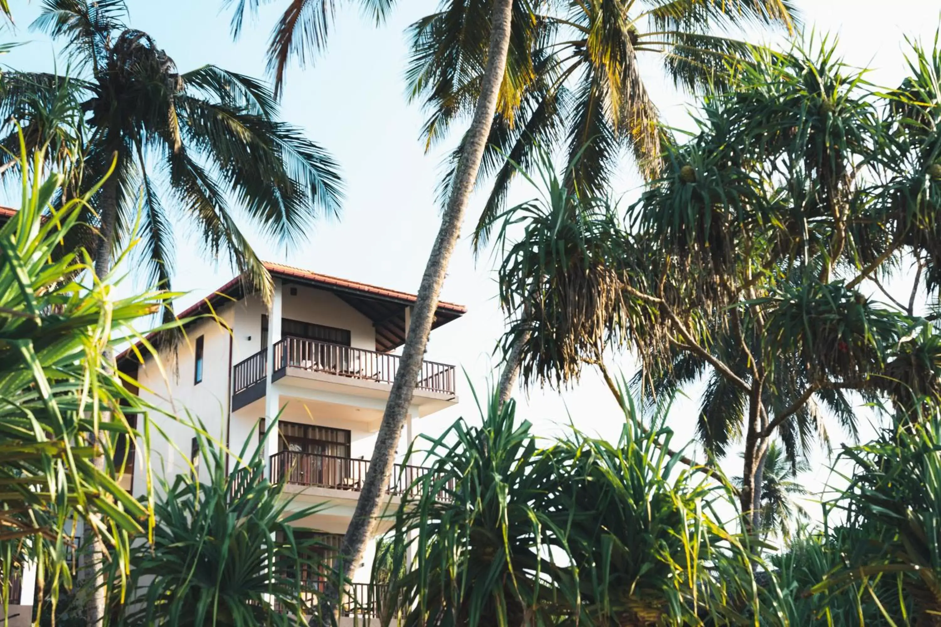 Property building in Ananya Beach Resort Property building in Ananya Beach Resort