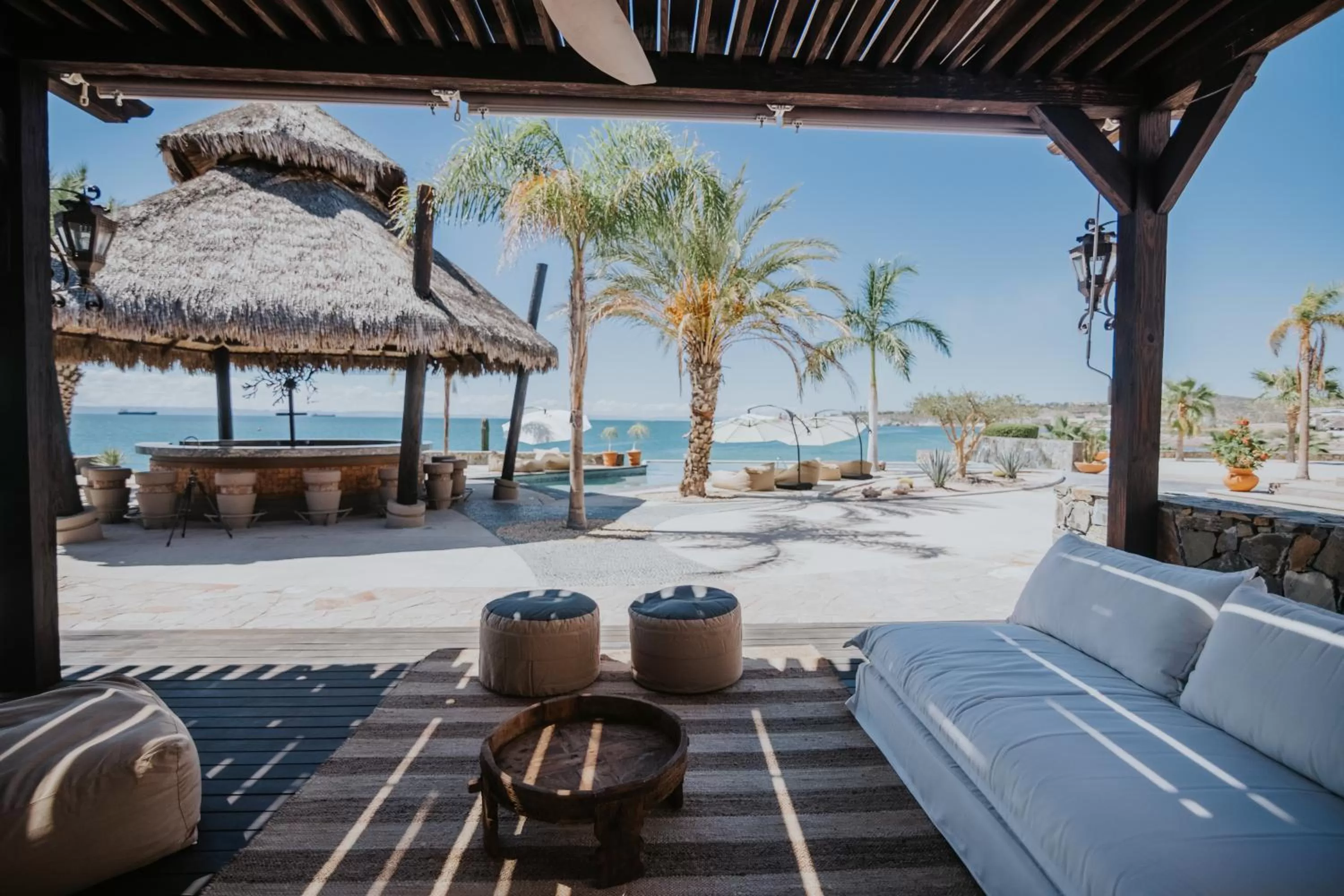 Lounge or bar in Orchid House Baja