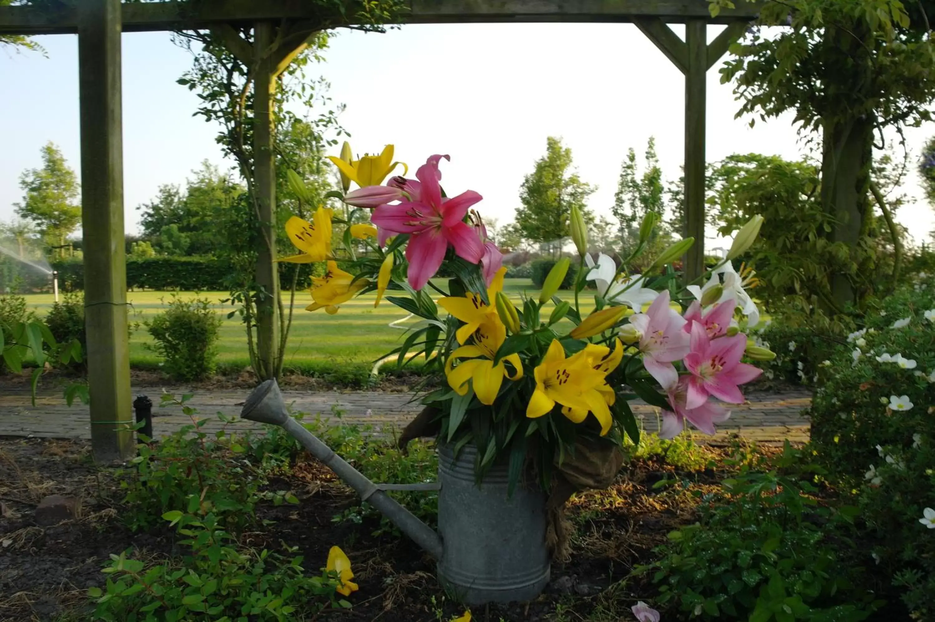 Garden in De Parel B&B