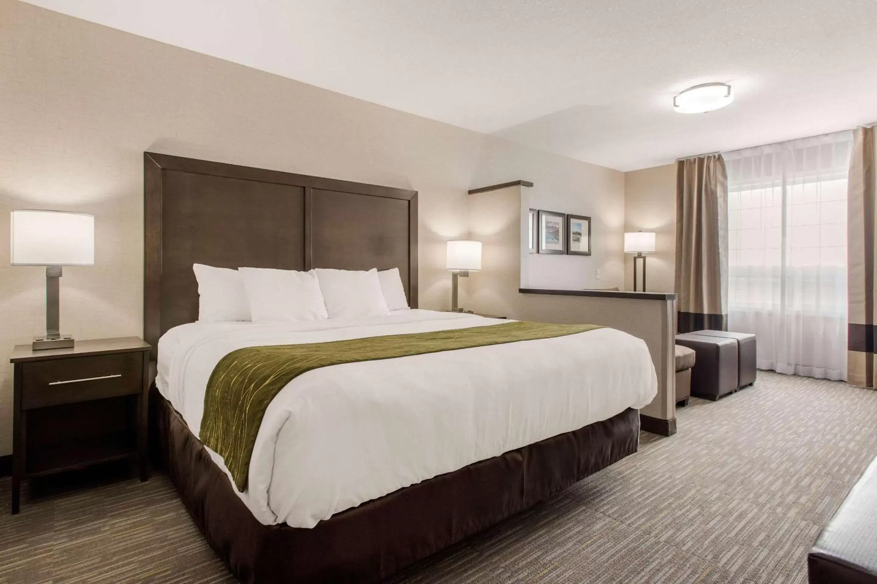 Photo of the whole room, Bed in Comfort Inn & Suites Red Deer