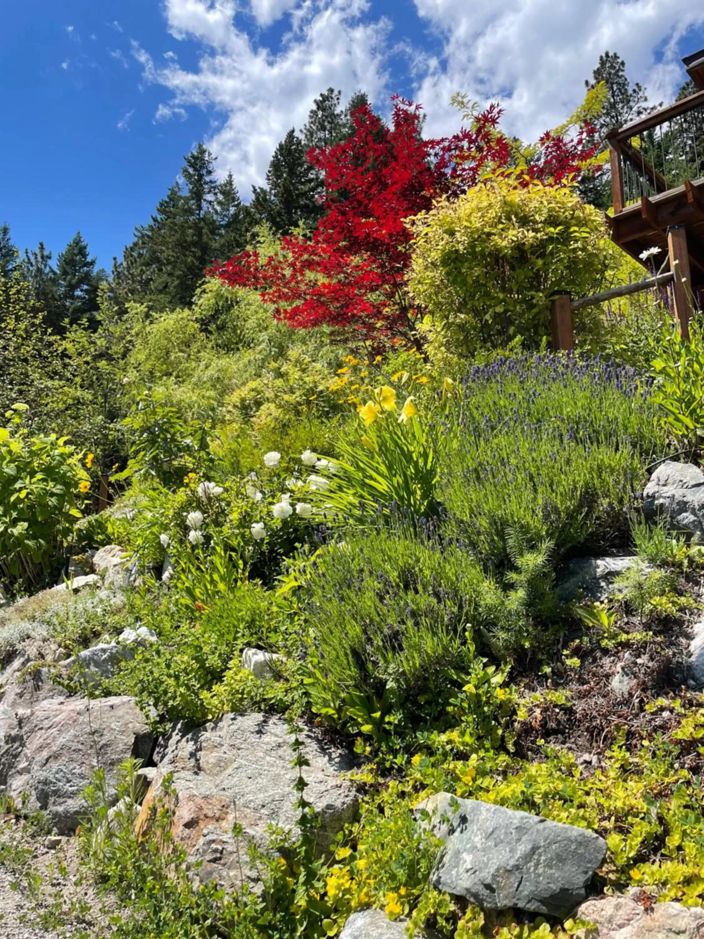 Natural landscape in Les Chambres Roses