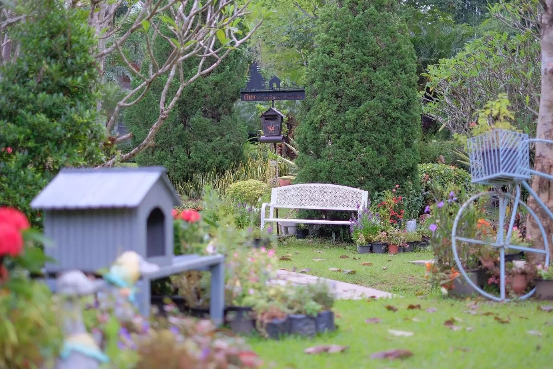 Garden view in Baan JaoKorKluay บ้านเจ้ากอกล้วย