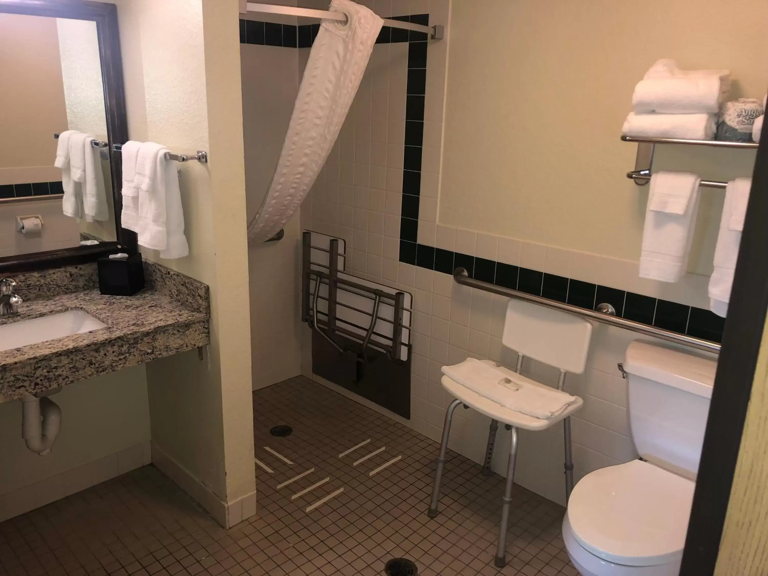 Shower, Bathroom in Cobblestone Hotel & Suites - Wisconsin Rapids