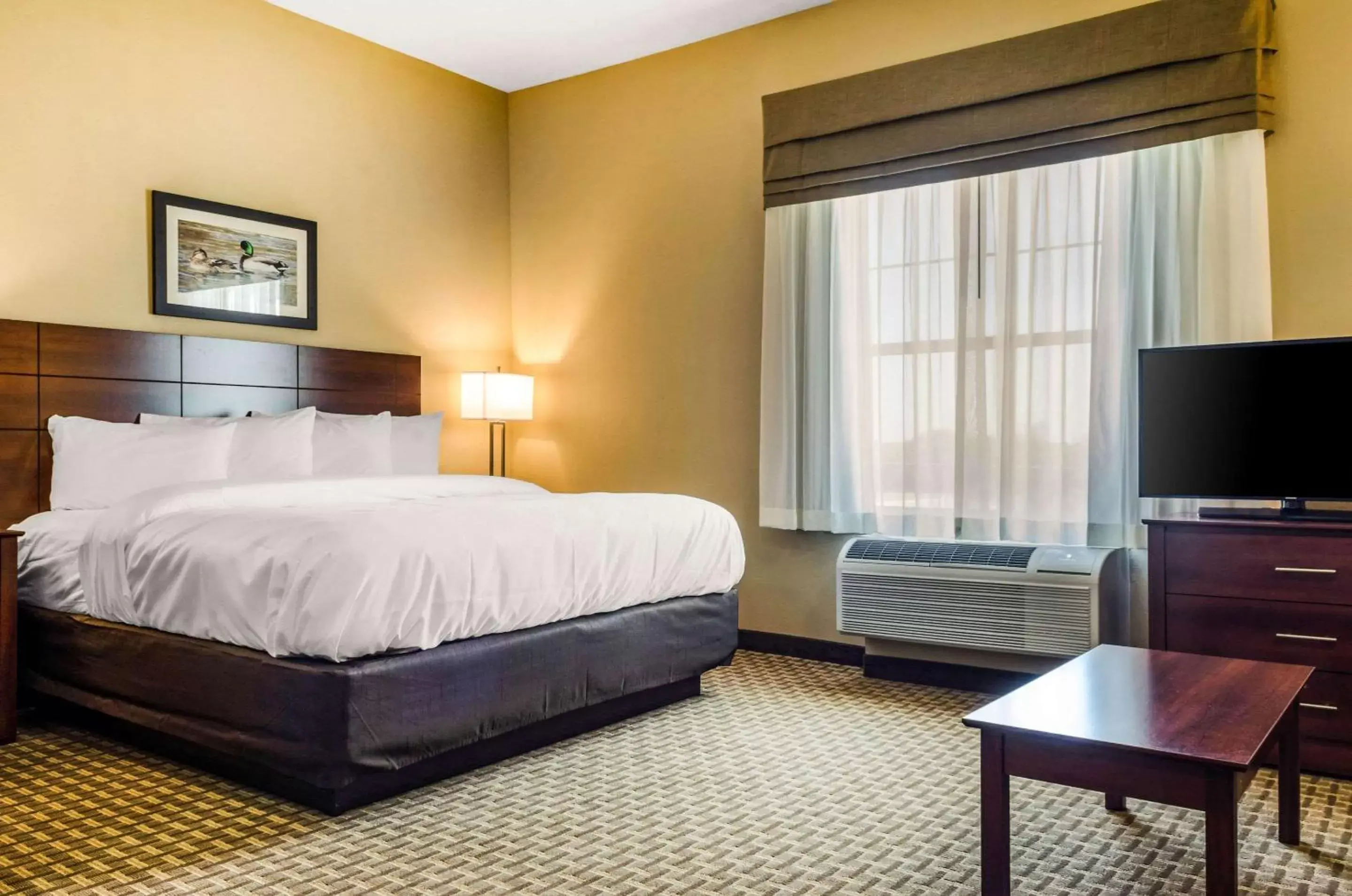 Photo of the whole room, Bed in MainStay Suites Hackberry Sportsman's Lodge