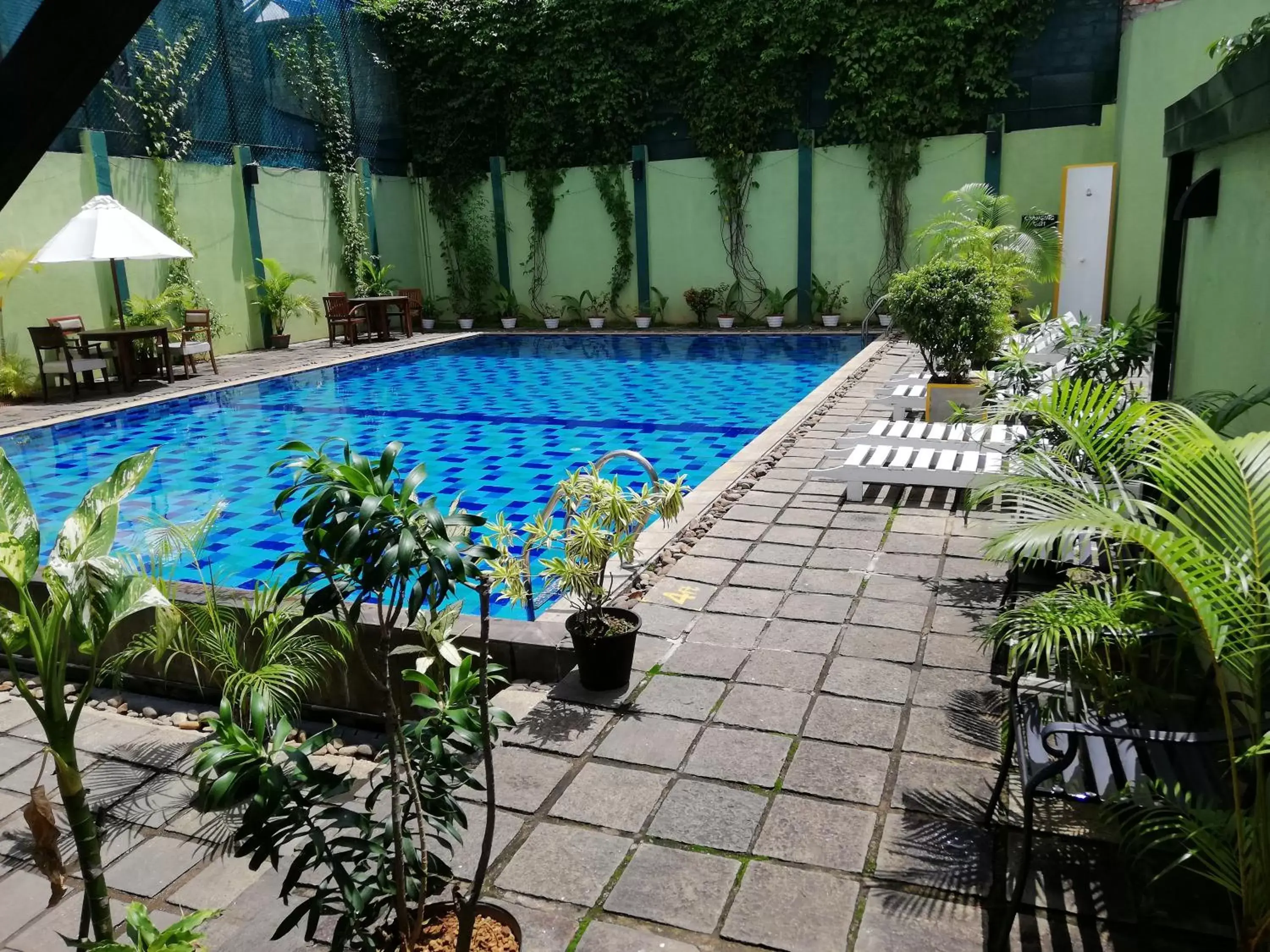 Pool view, Swimming Pool in Hotel Casamara