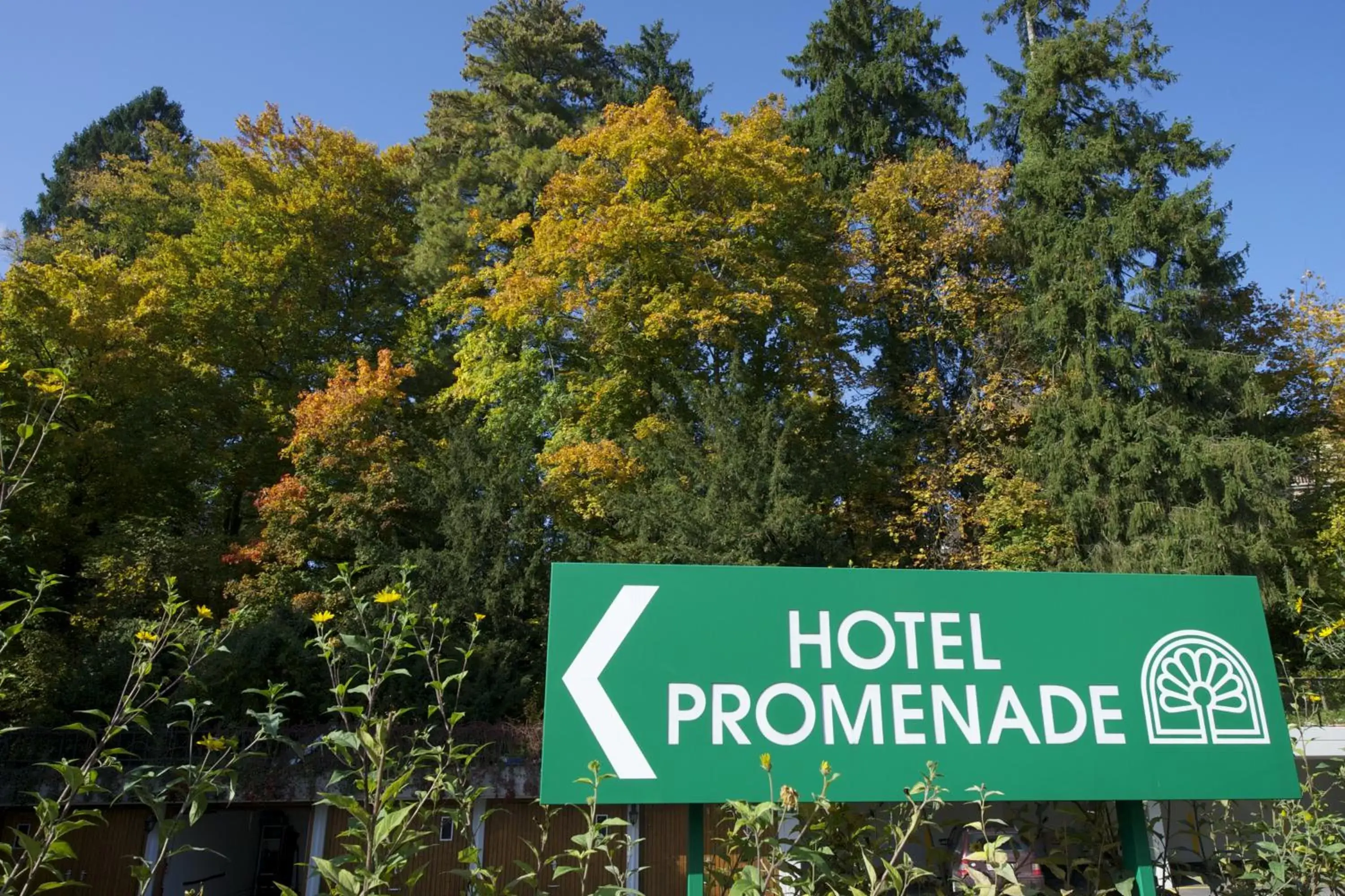 Facade/entrance in Hotel Promenade