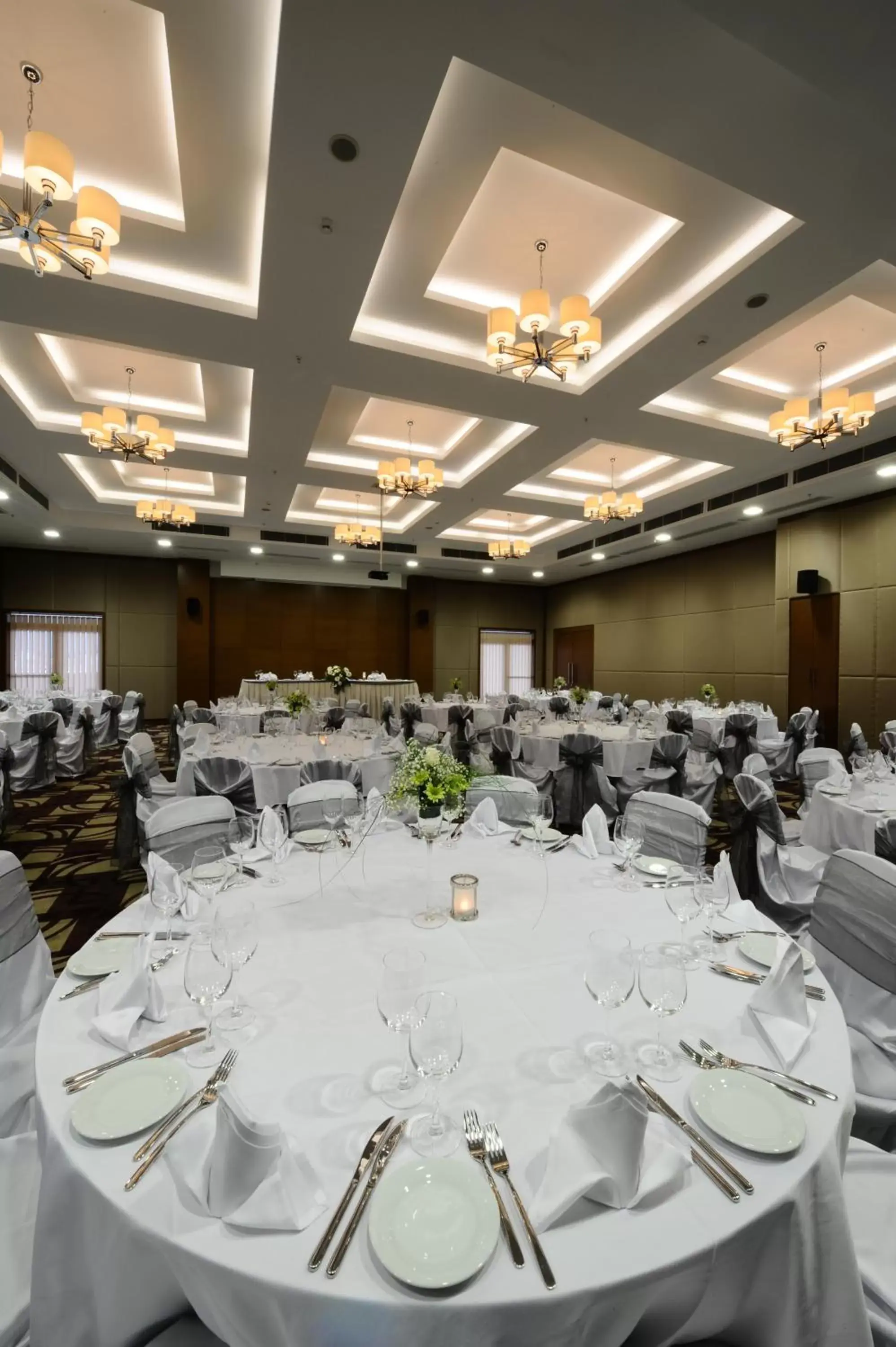 Banquet/Function facilities, Banquet Facilities in Ramada by Wyndham Podgorica