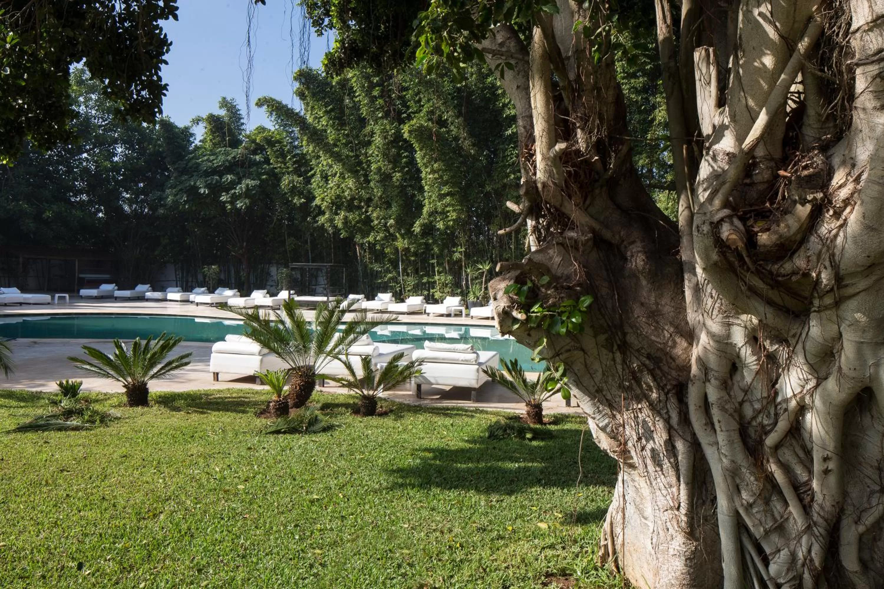 Swimming Pool in Le Sphinx Boutique Hôtel