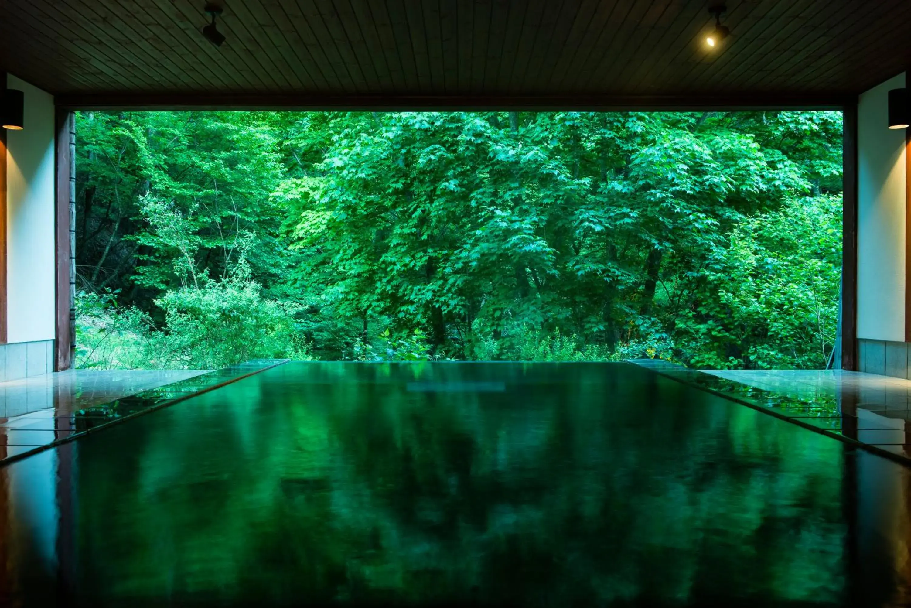 Hot Spring Bath in Myojinkan Ryokan