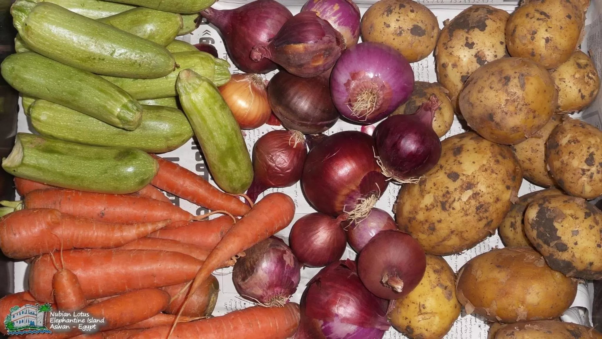 Restaurant/places to eat in Nubian Lotus