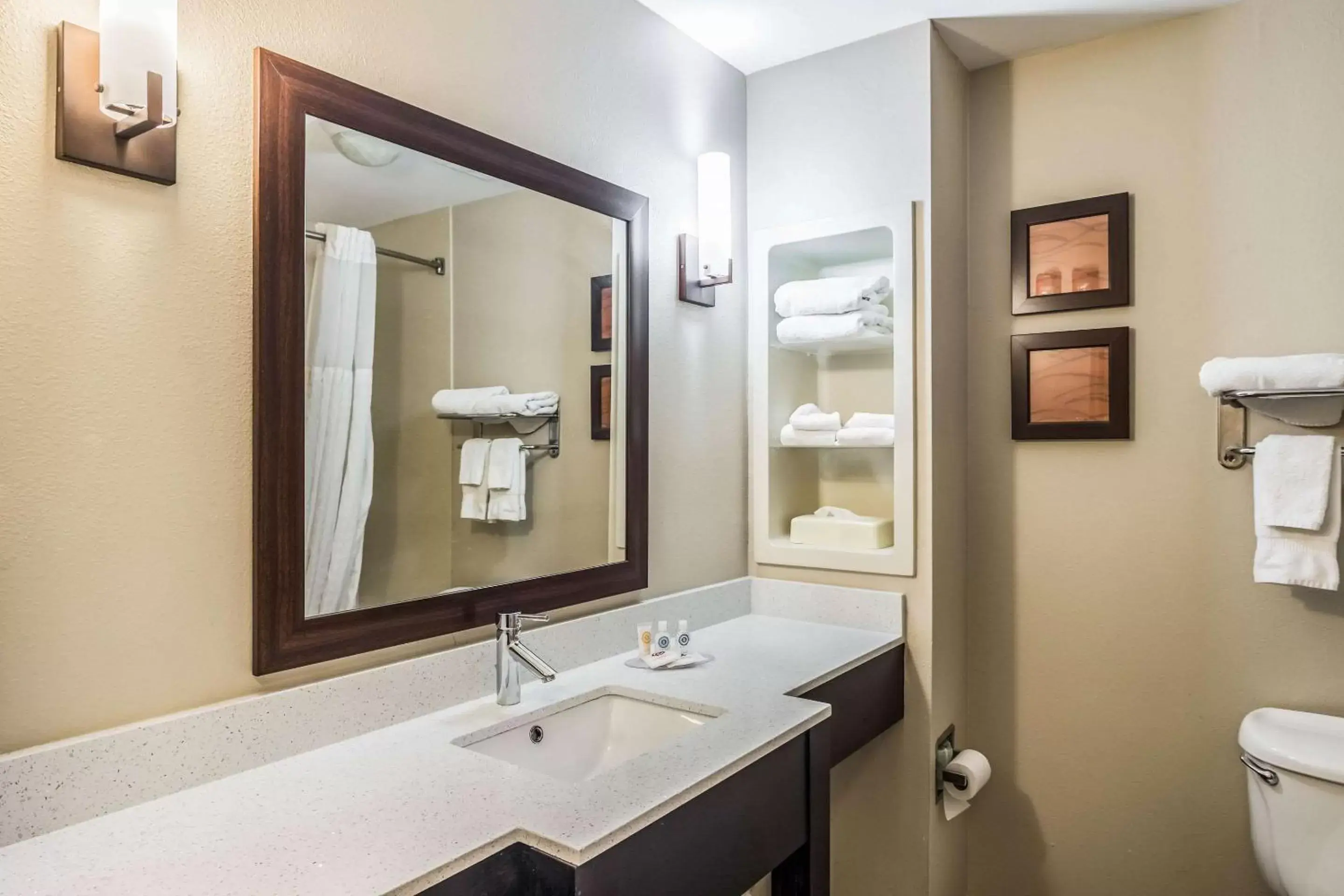 Photo of the whole room, Bathroom in Comfort Inn & Suites Lookout Mountain