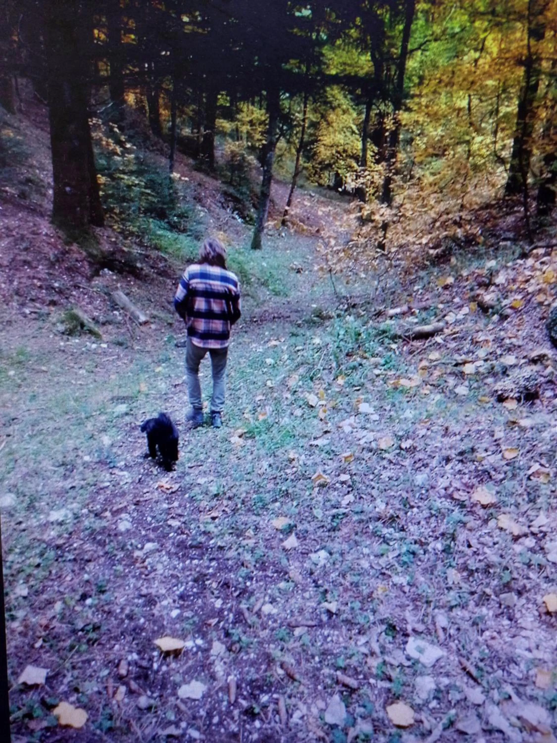 Hiking in Hotel Clarici