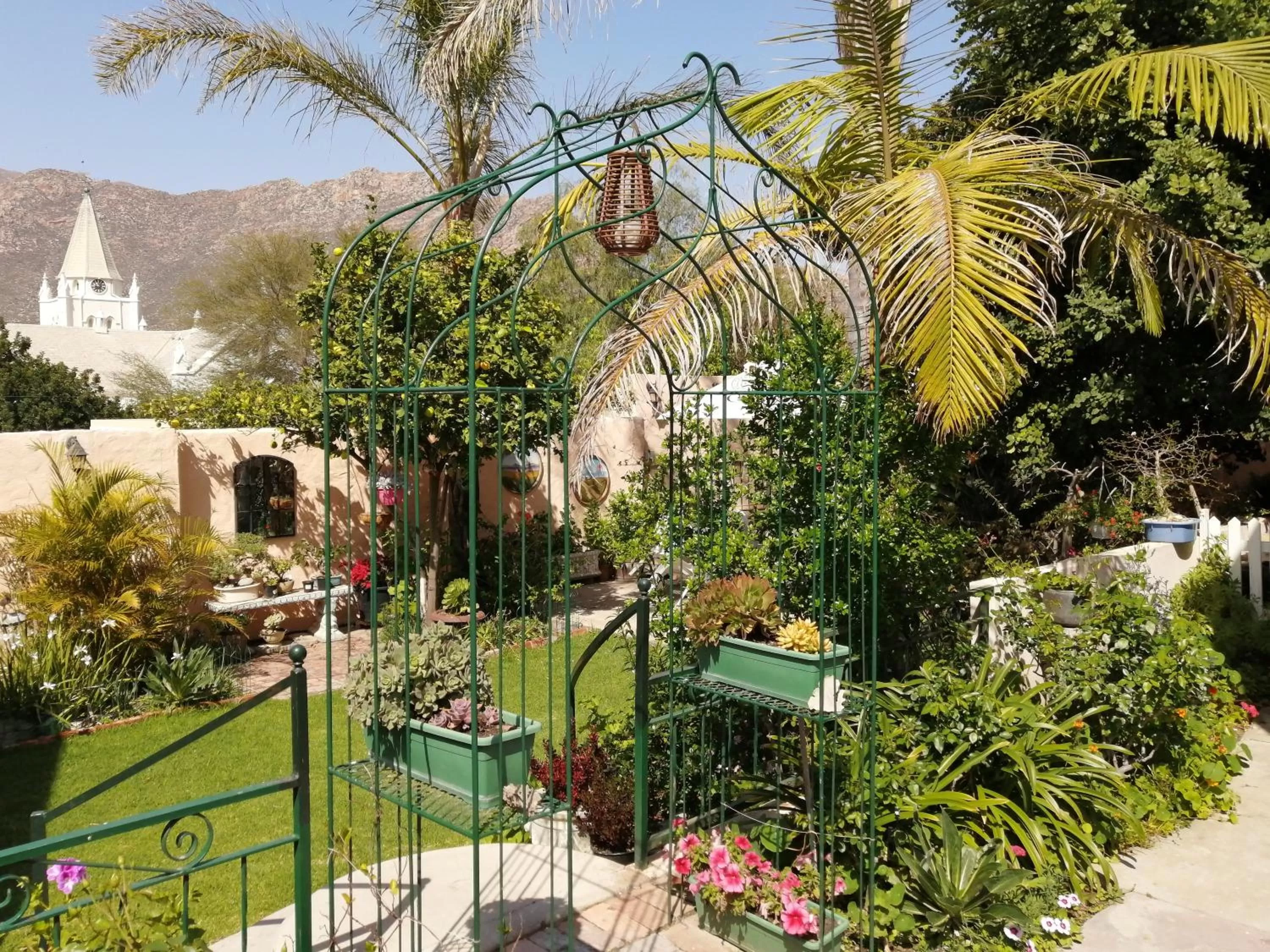 Garden view in Squirrels Corner