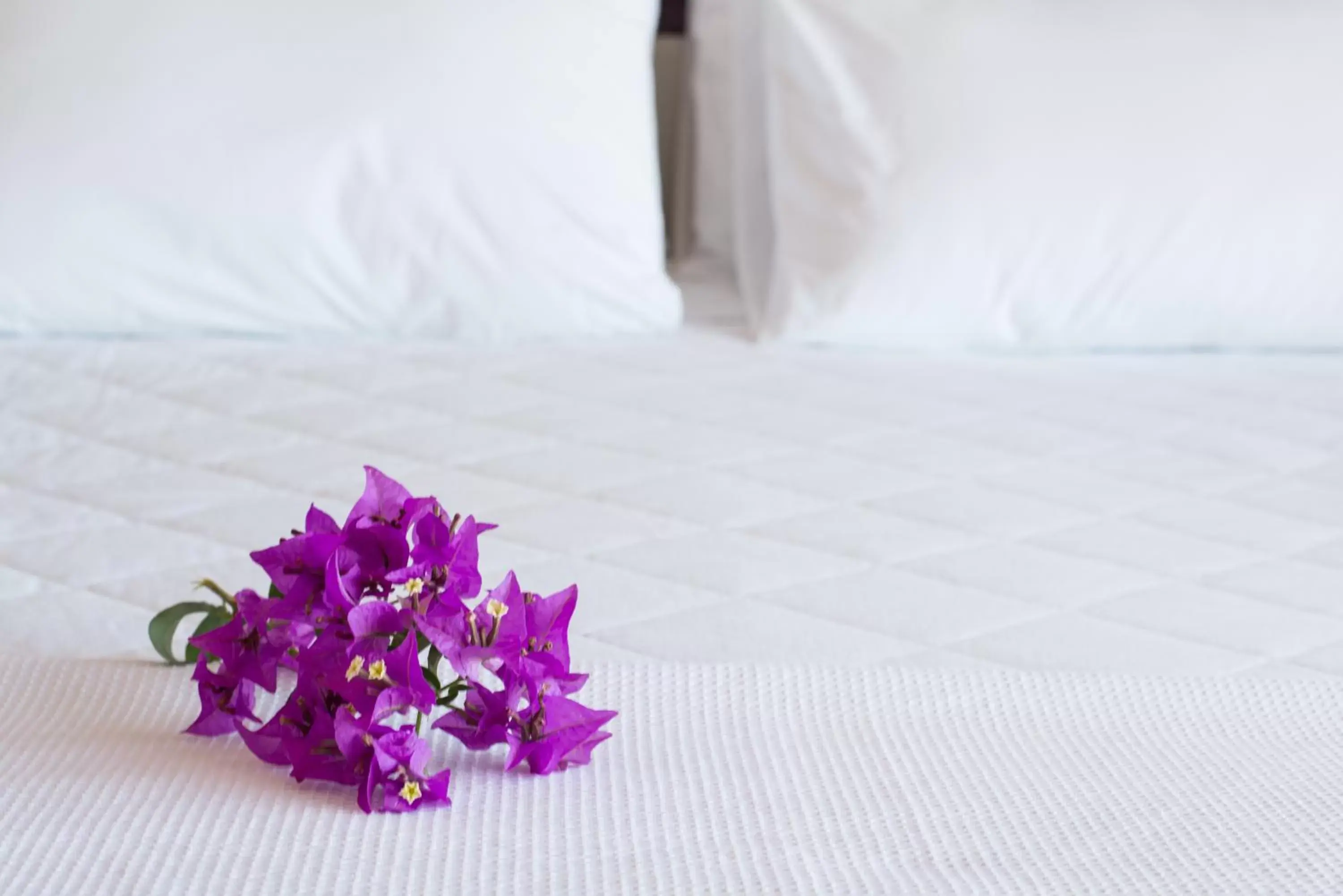 Bed in Ilha Branca Exclusive Hotel