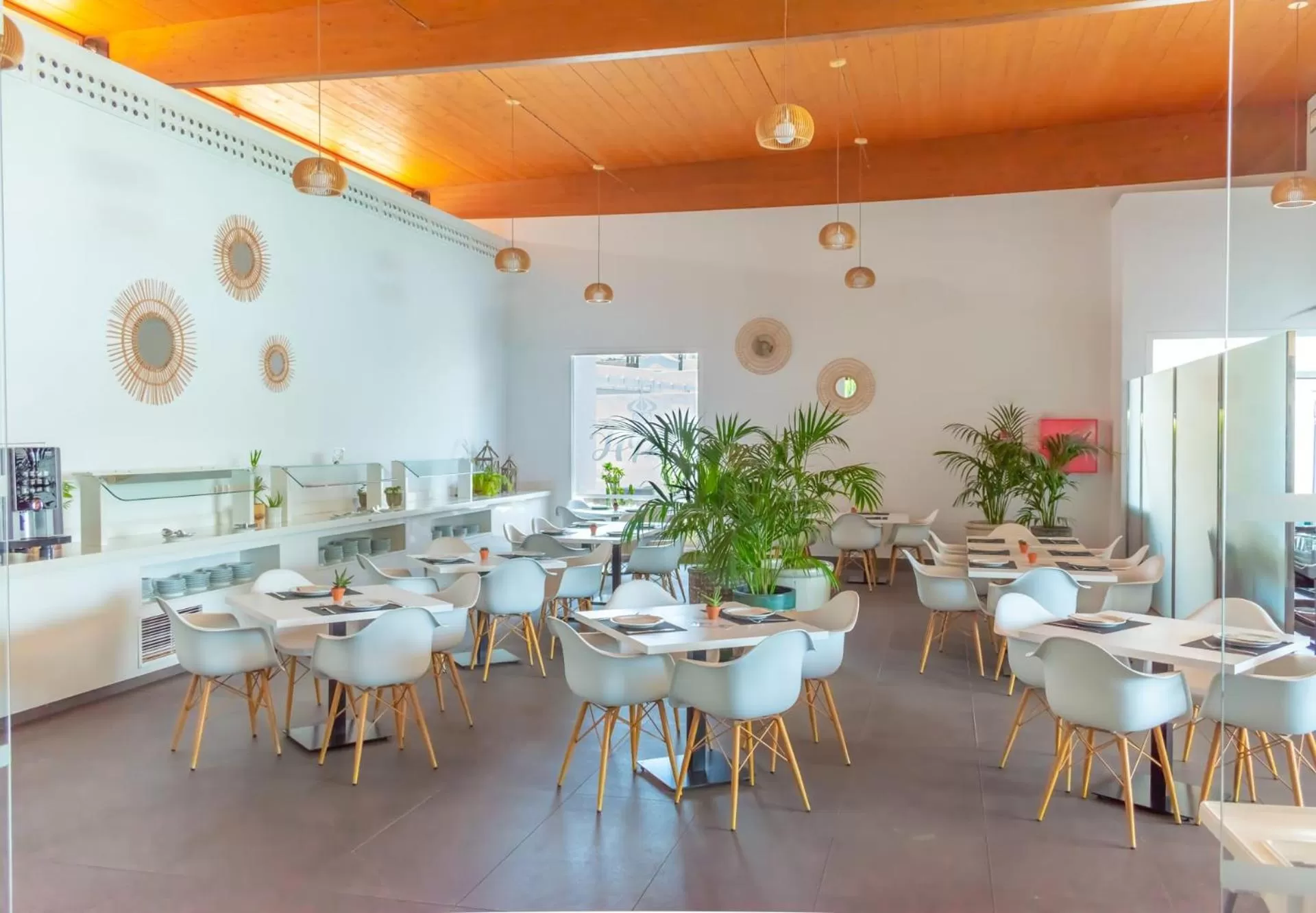 Restaurant/places to eat in Hyde Park Lane